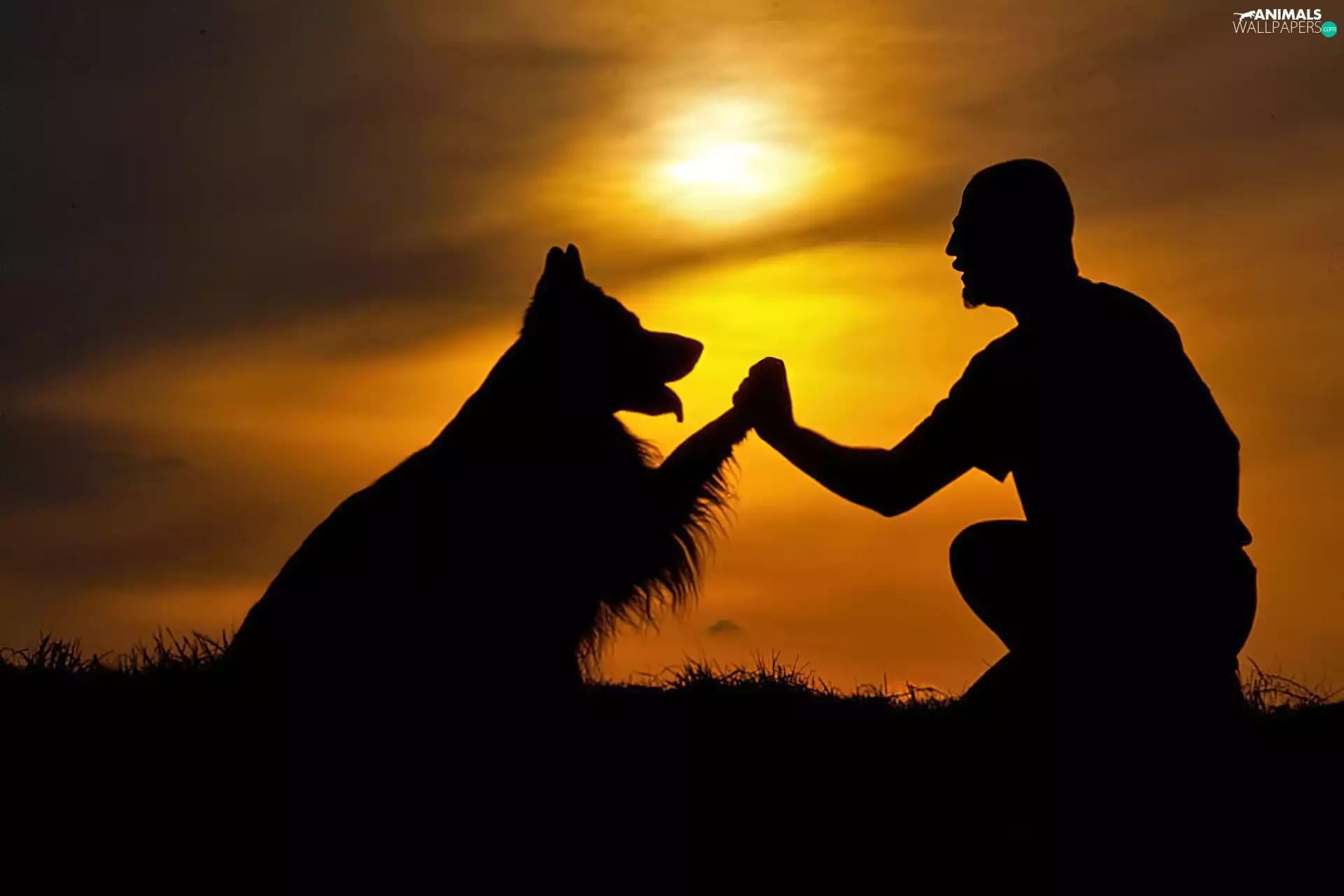 west, dog, a man, sun