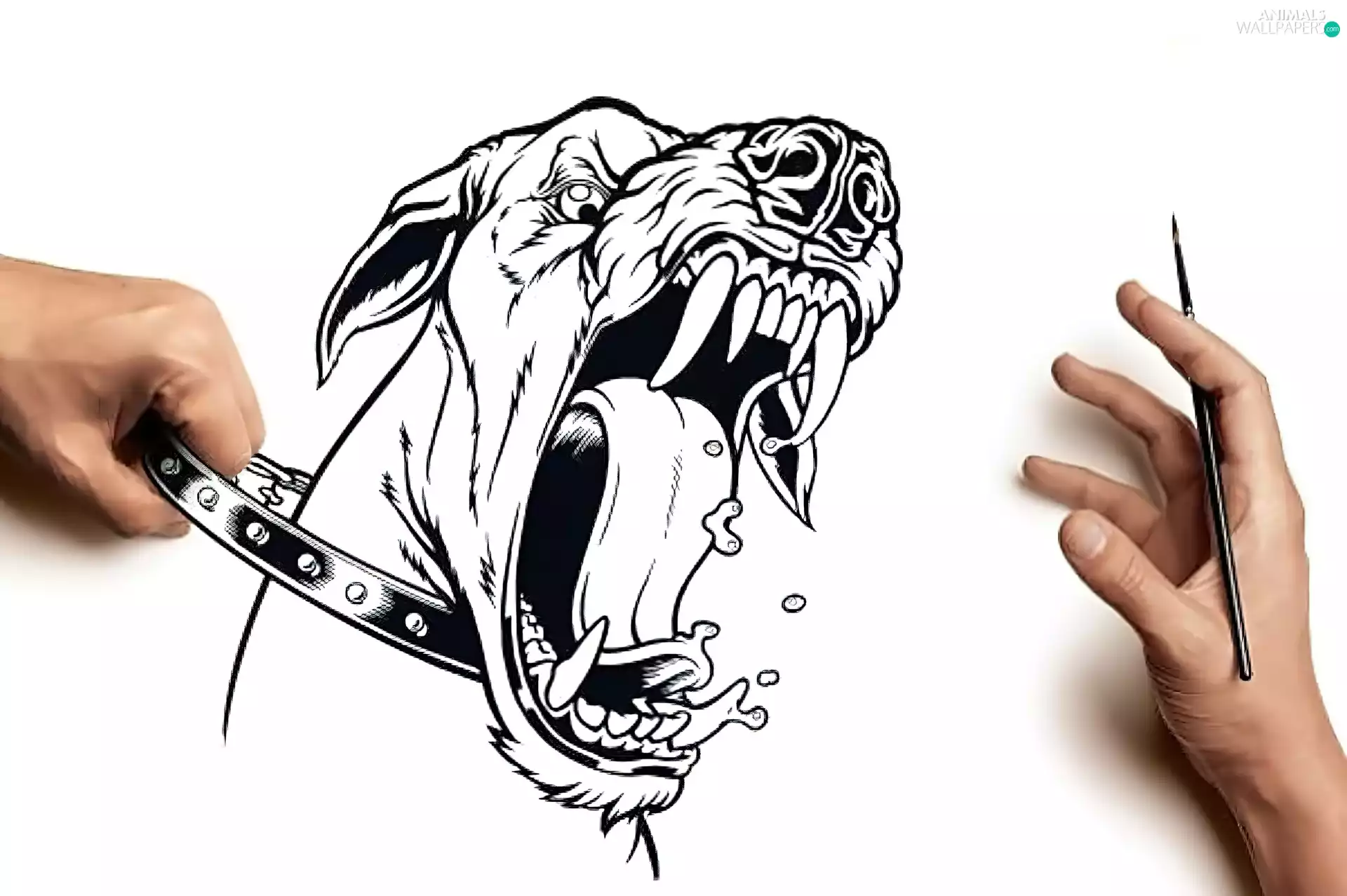 dog-collar, dangerous, dog