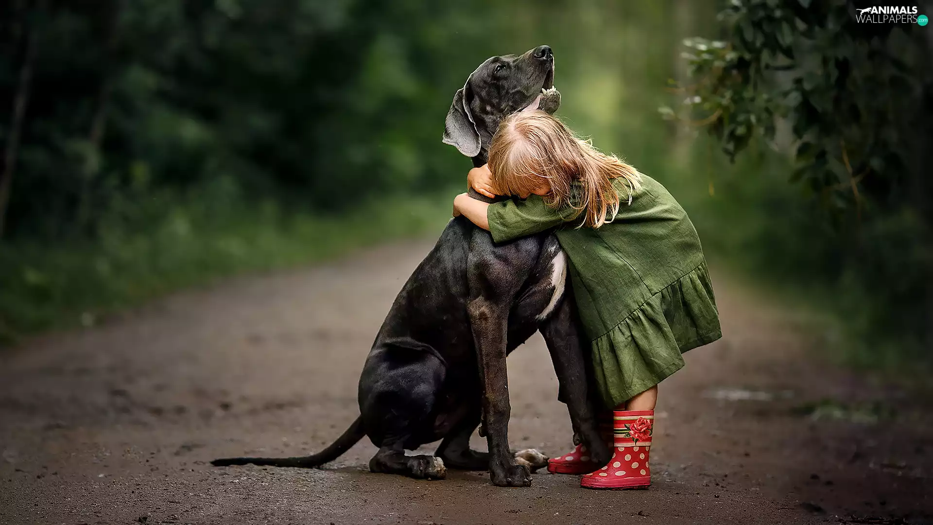 dress, dog, girl, Green, Kid