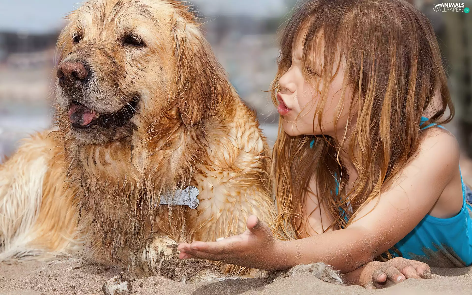 girl, Beaches, Sand, dog