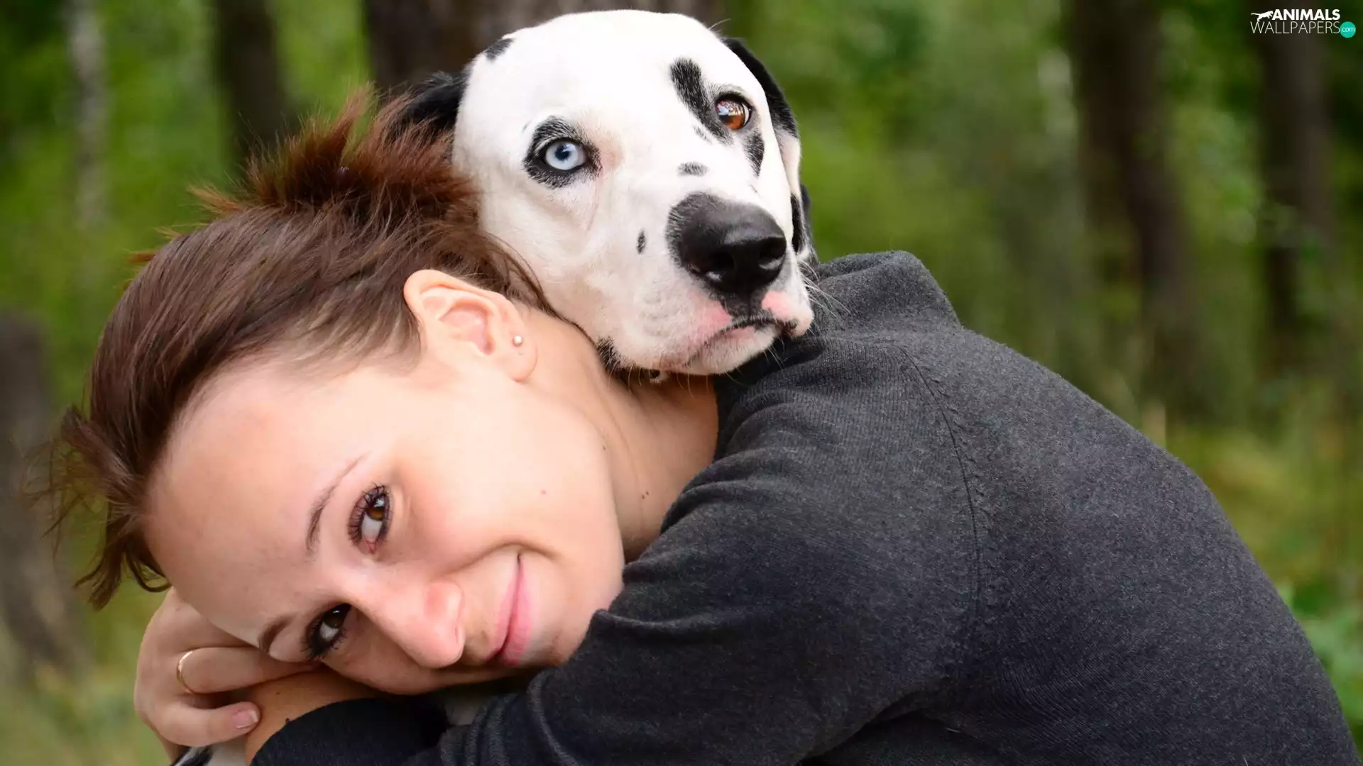Women, Dalmatian, friendship, dog