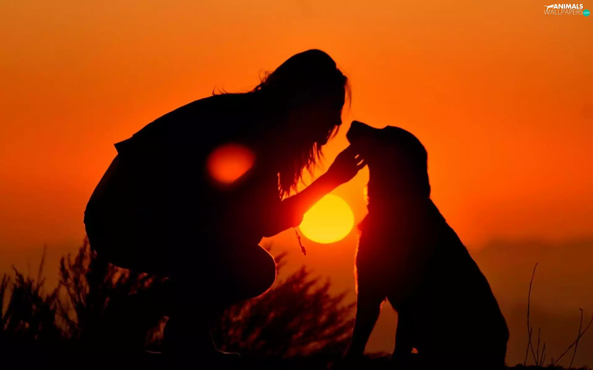 Women, west, sun, dog