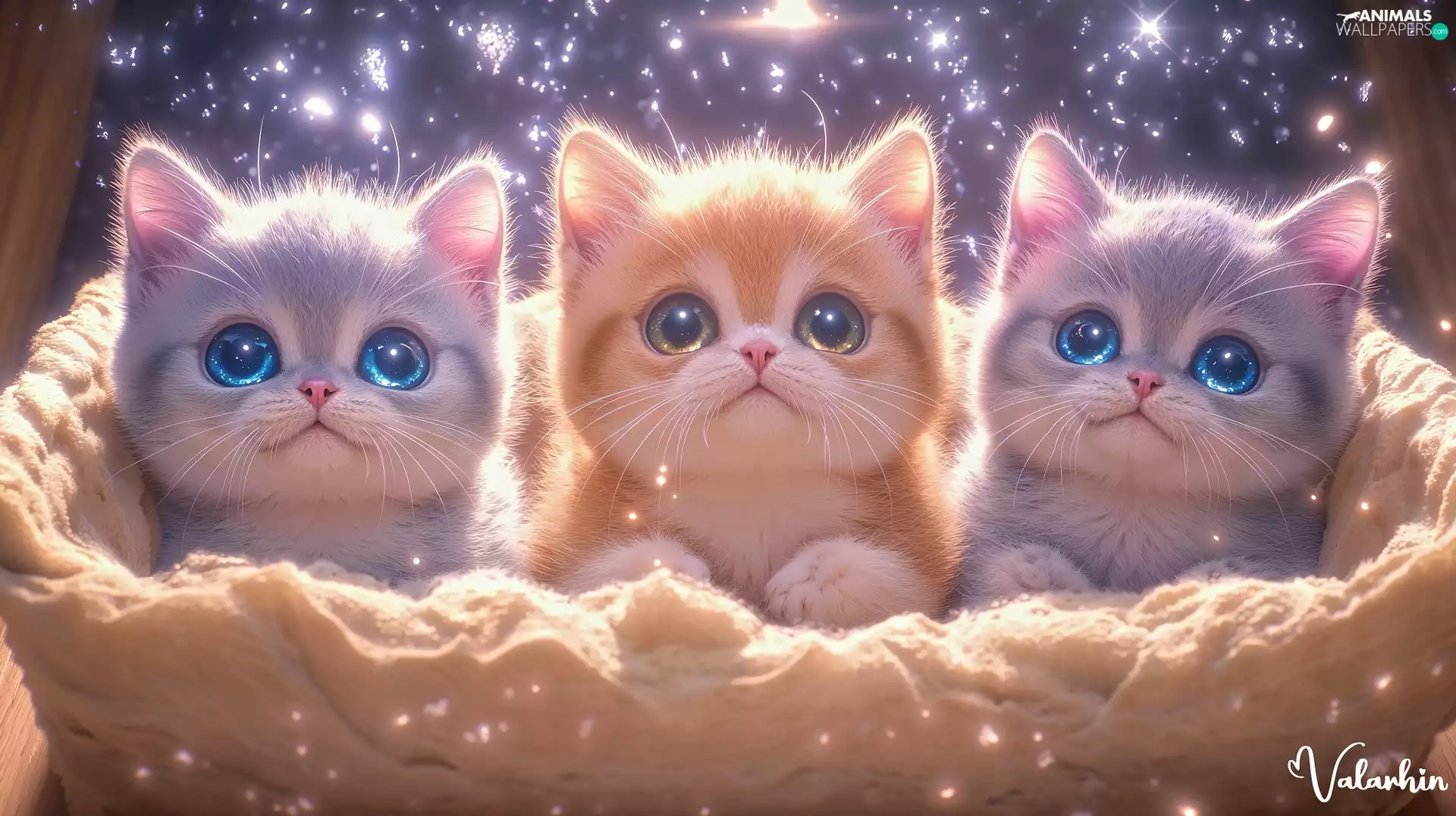 cats, Three, little doggies