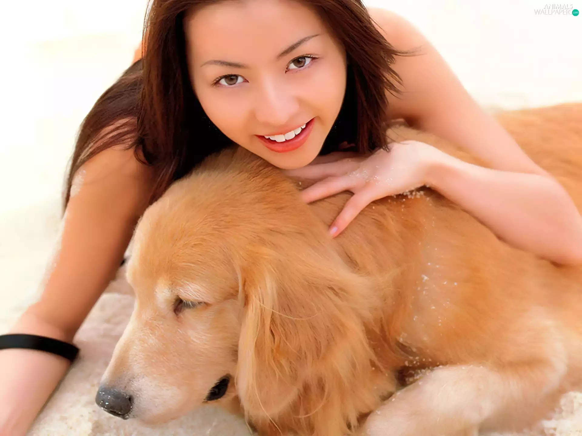 Beauty, doggy, Golden Retriever, Women