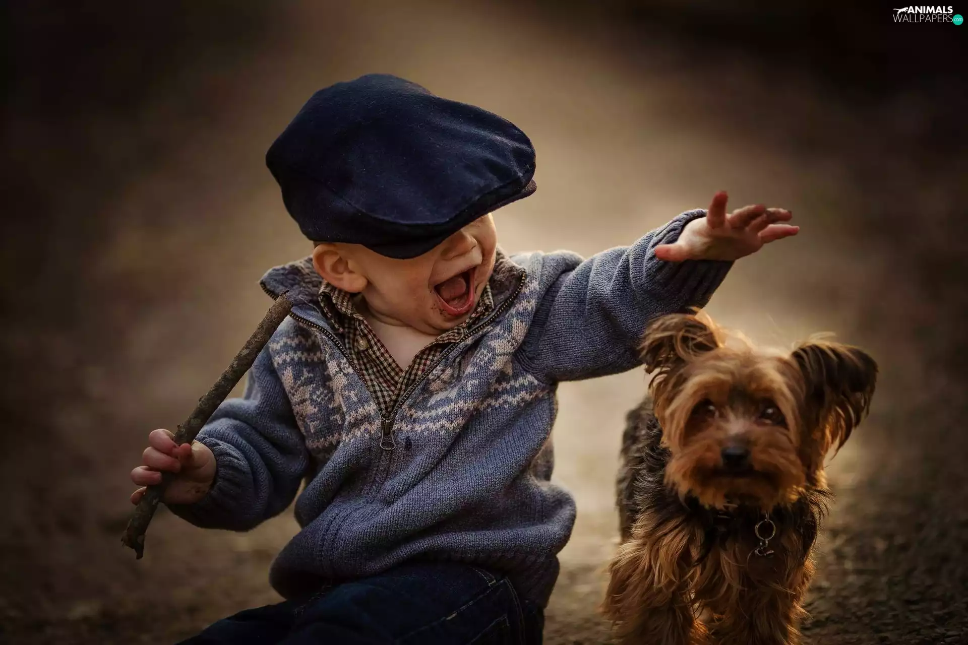 doggy, boy, Hat