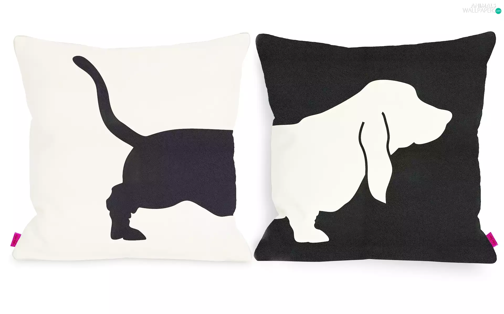 doggy, pillows, theme