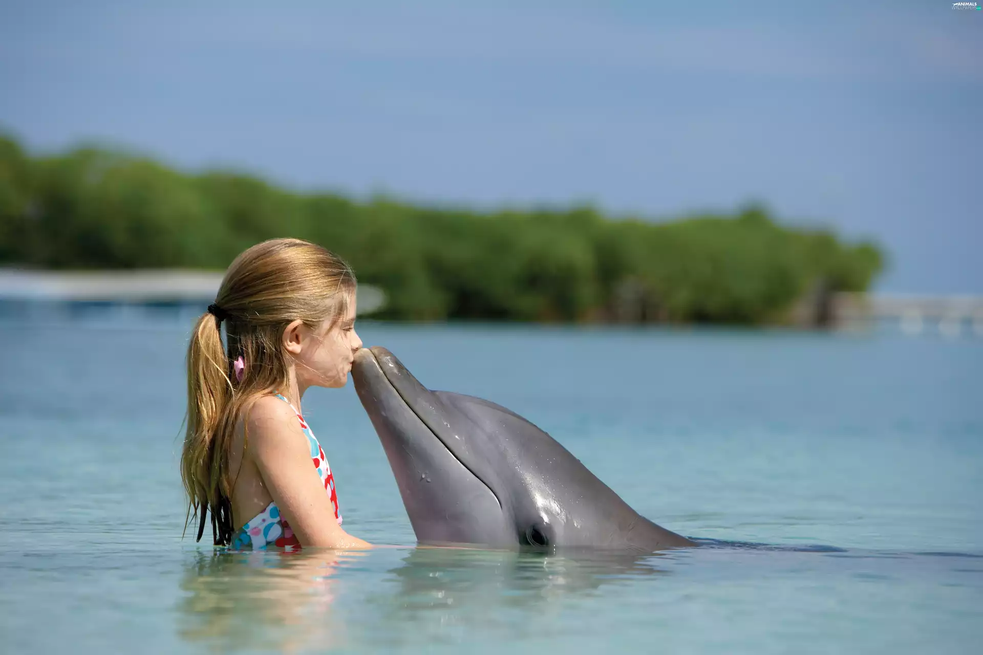 girl, water, kiss, dolphin