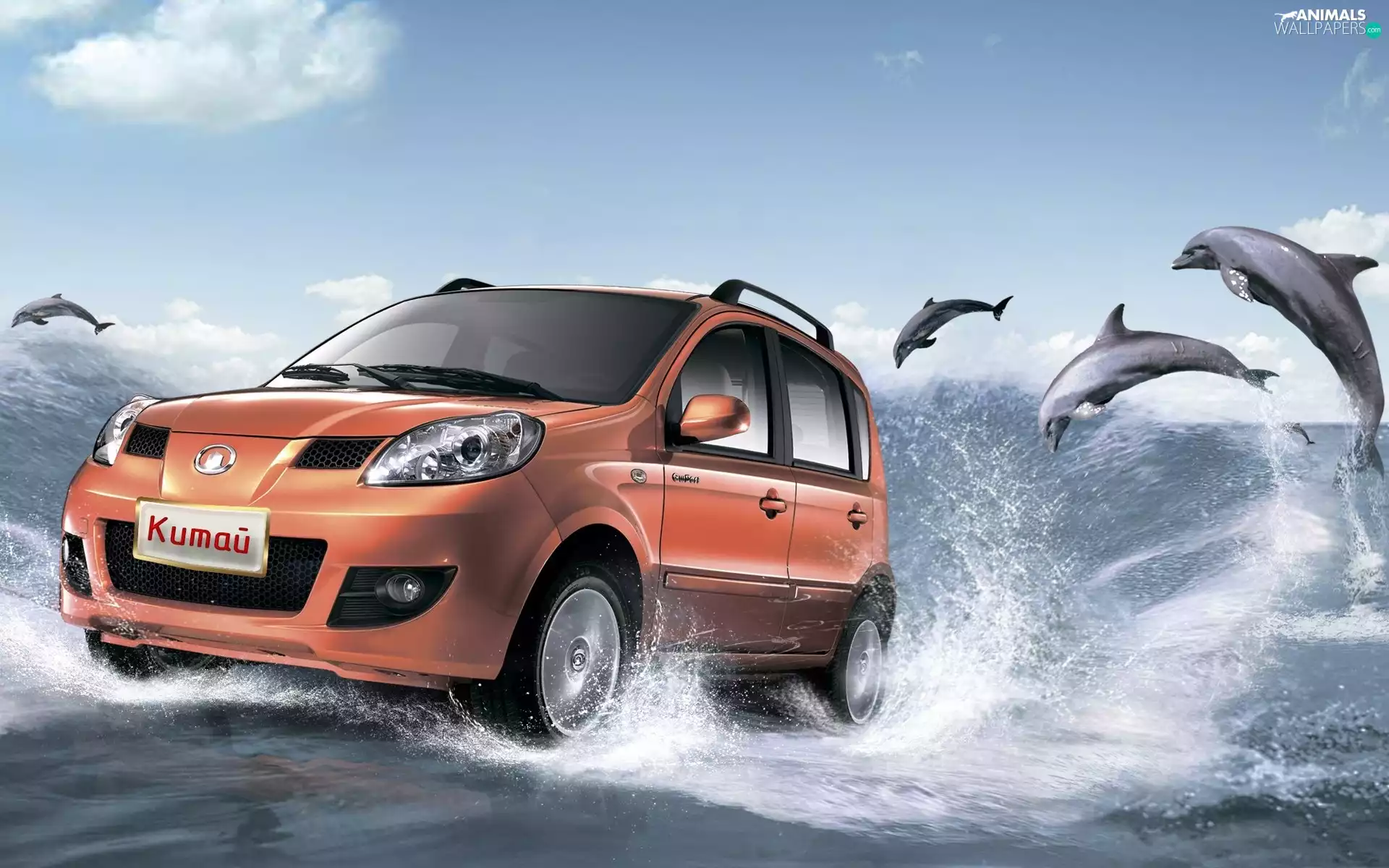 dolphins, sea, Automobile