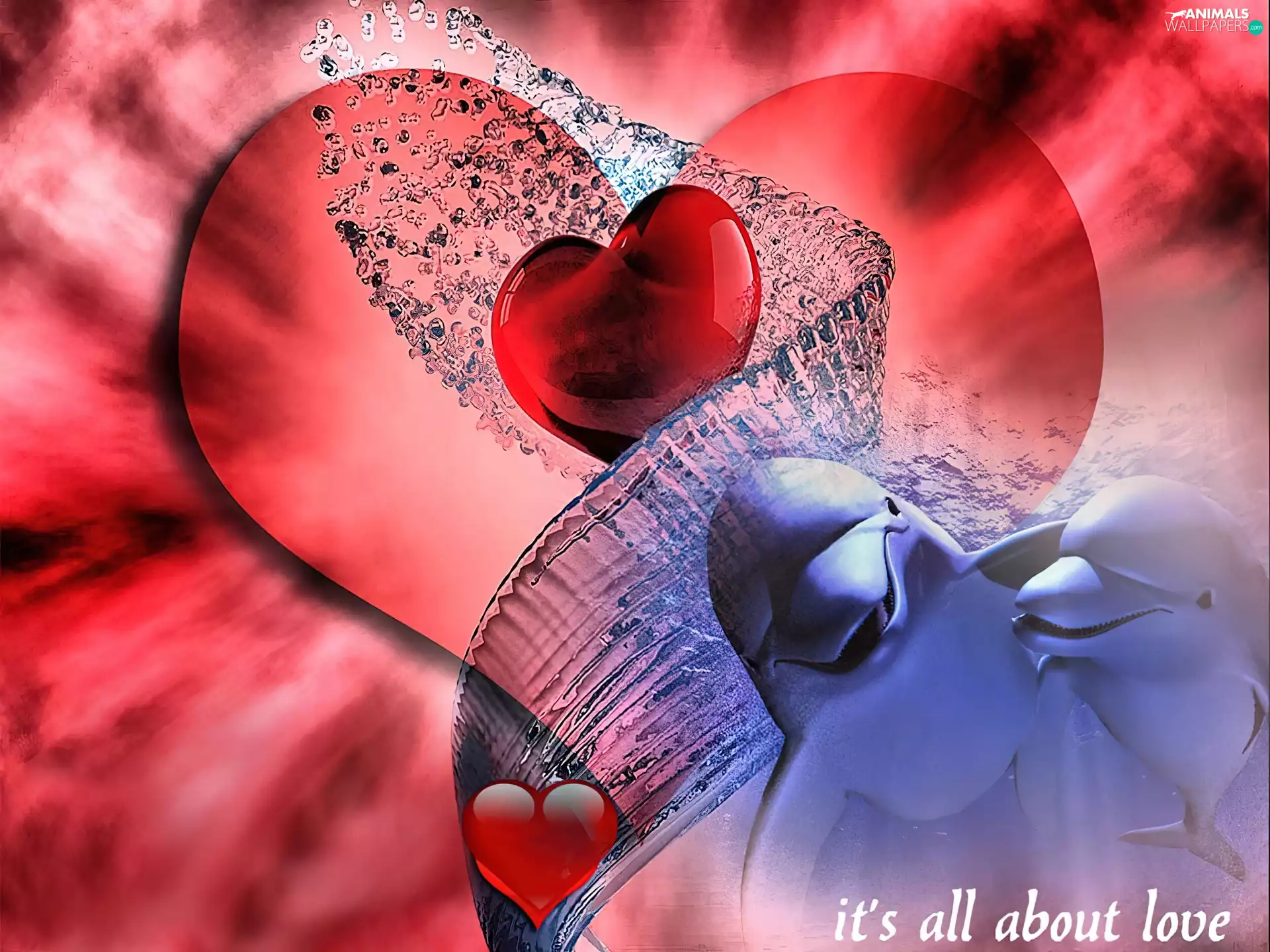 Heart, Two cars, dolphins