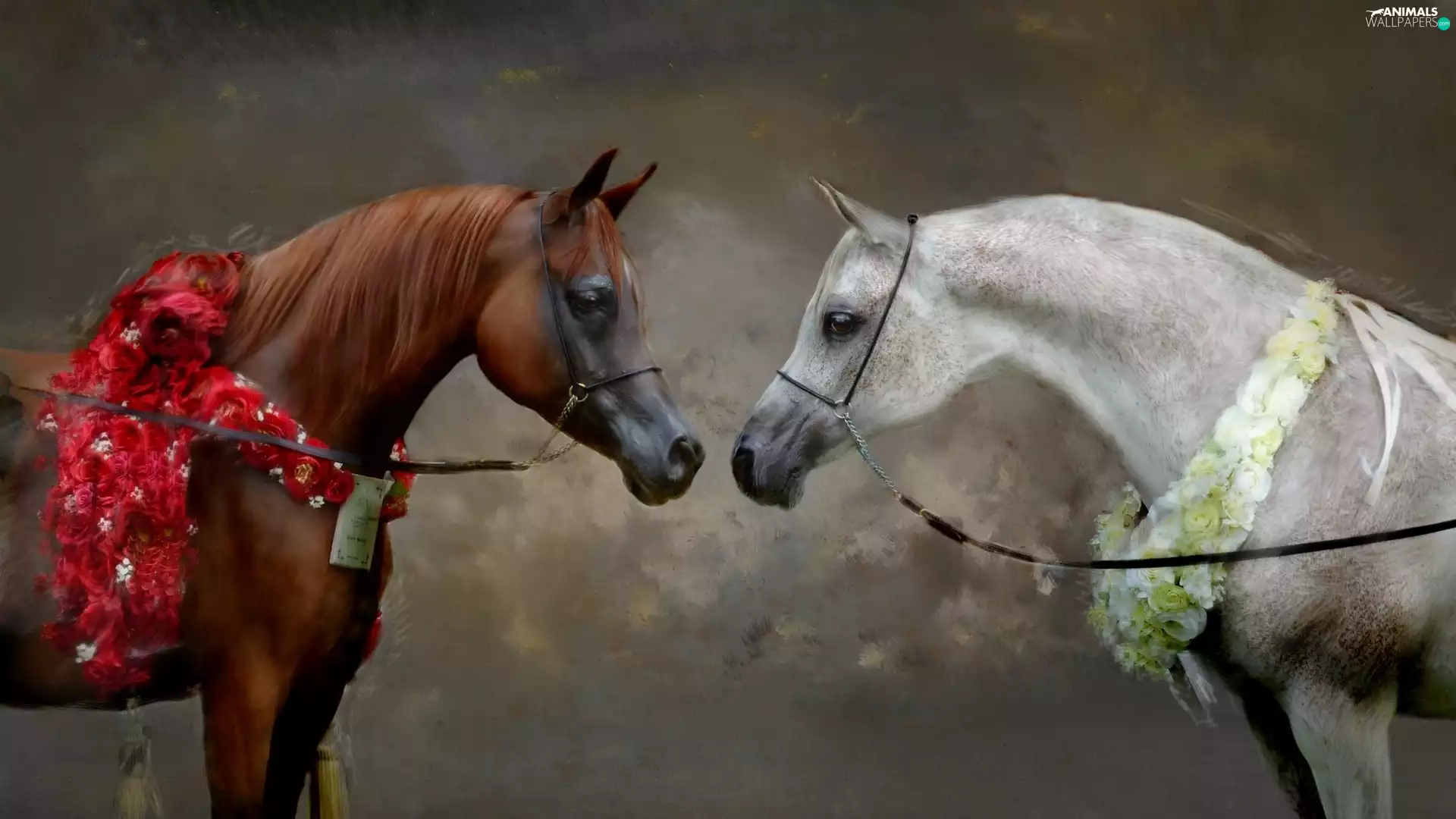 Dorota Kudyba, painting, Purebred Arabian Horses, Champions, Two cars, picture