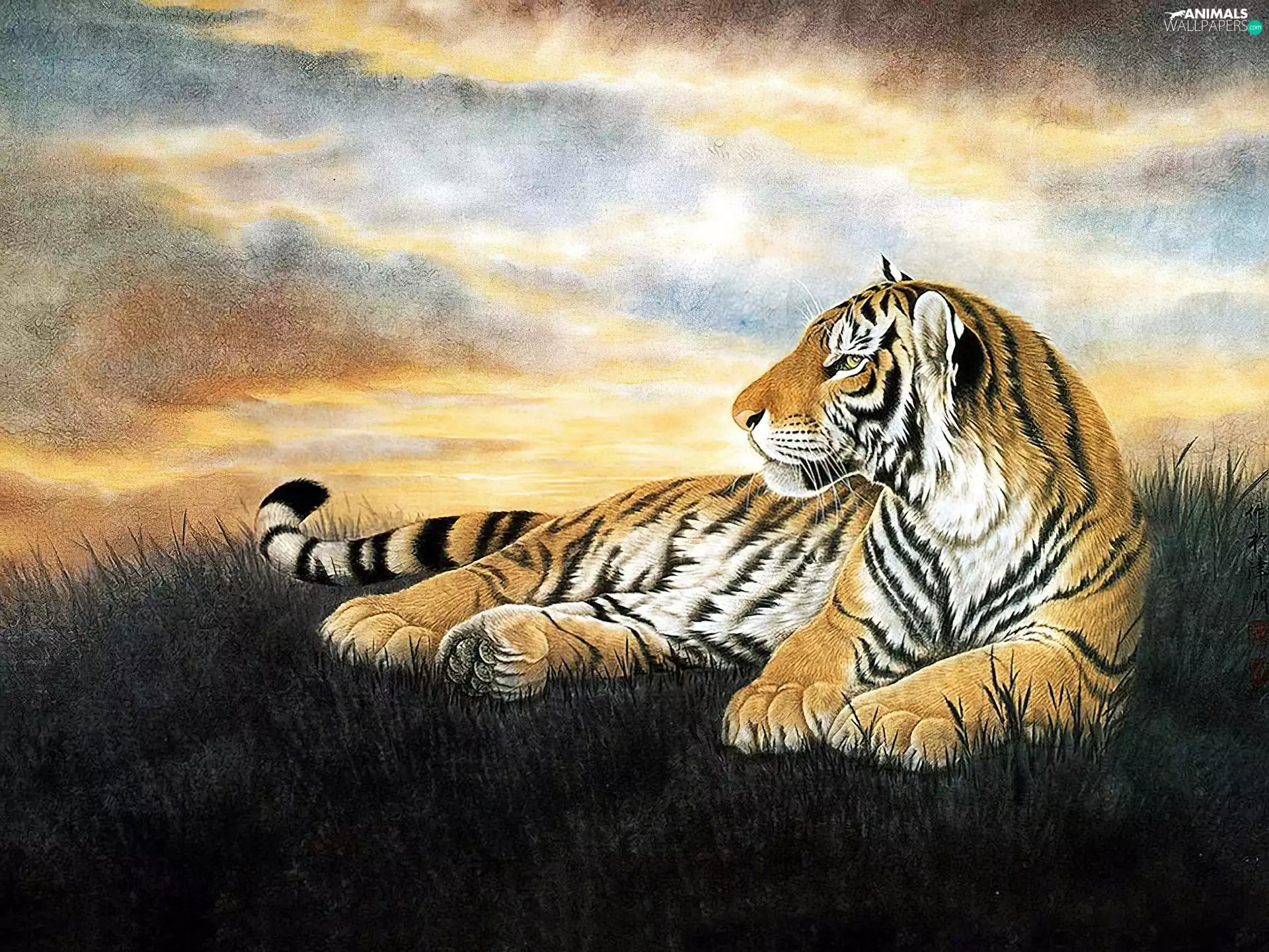 Drawing, tiger