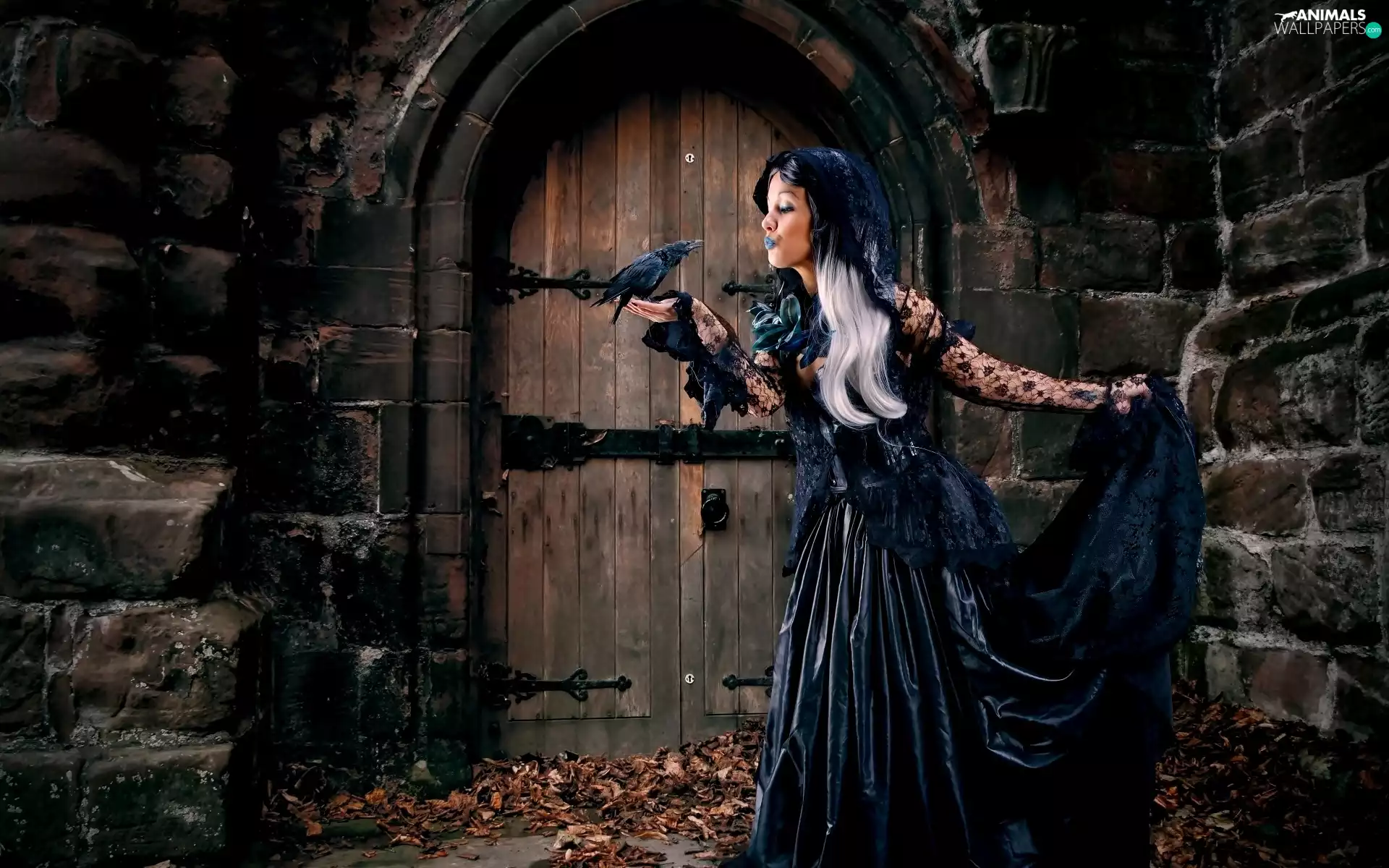 Women, the walls, Dress, Crow, black, Doors