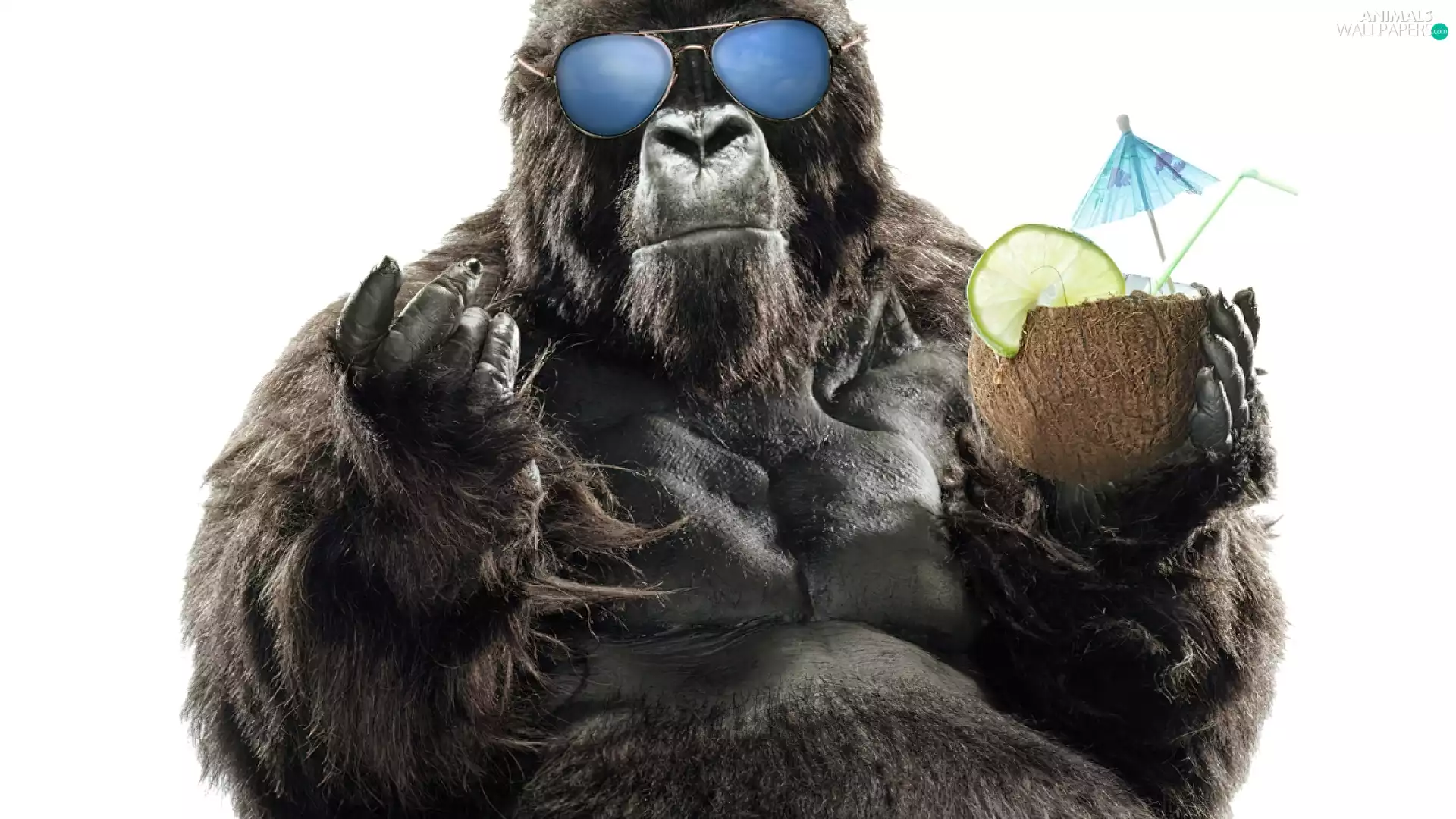 Drink, gorilla, Glasses