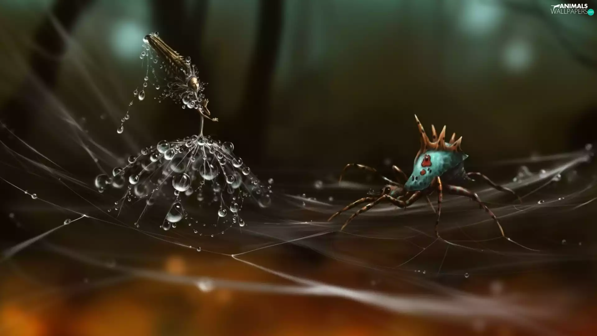 Seeds, drops, Web, puffball, Spider