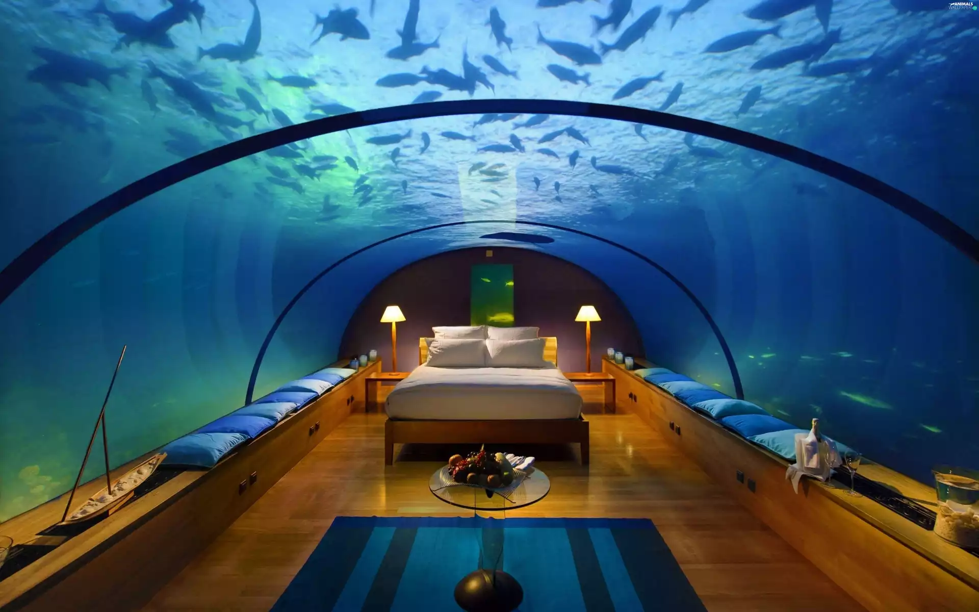 immersed, Dubaj, Aquarium, Hotel hall