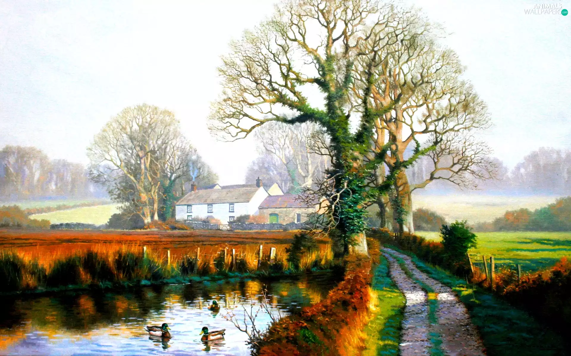 viewes, village, Pond - car, trees, Way, Houses, ducks