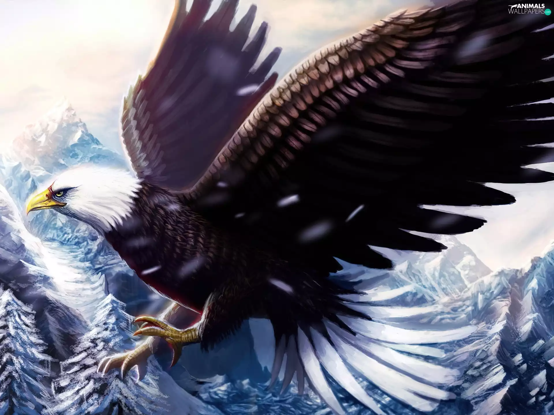 Bird, American Bald Eagle