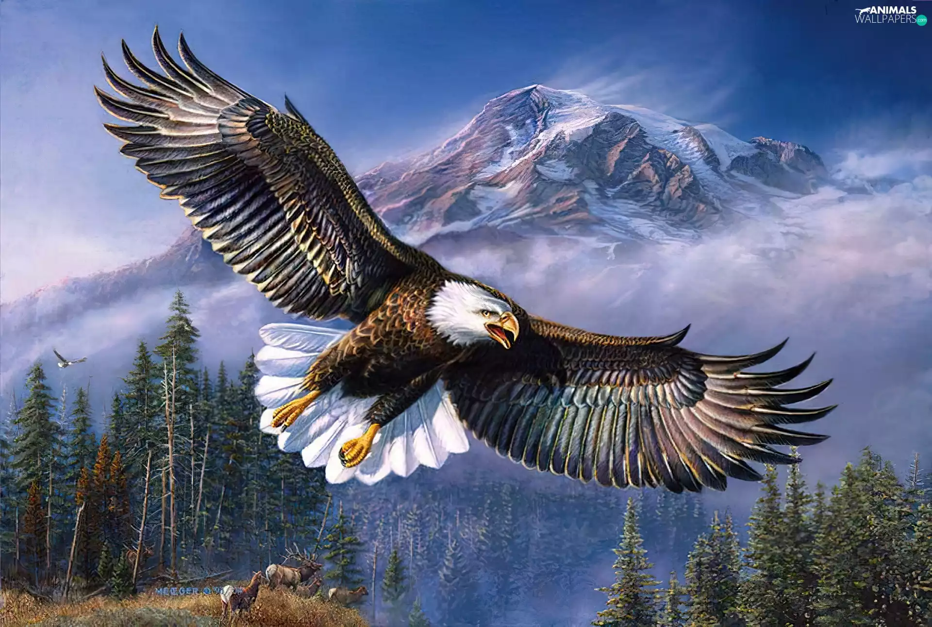 James Meger Bald Eagle, Mountains, forest
