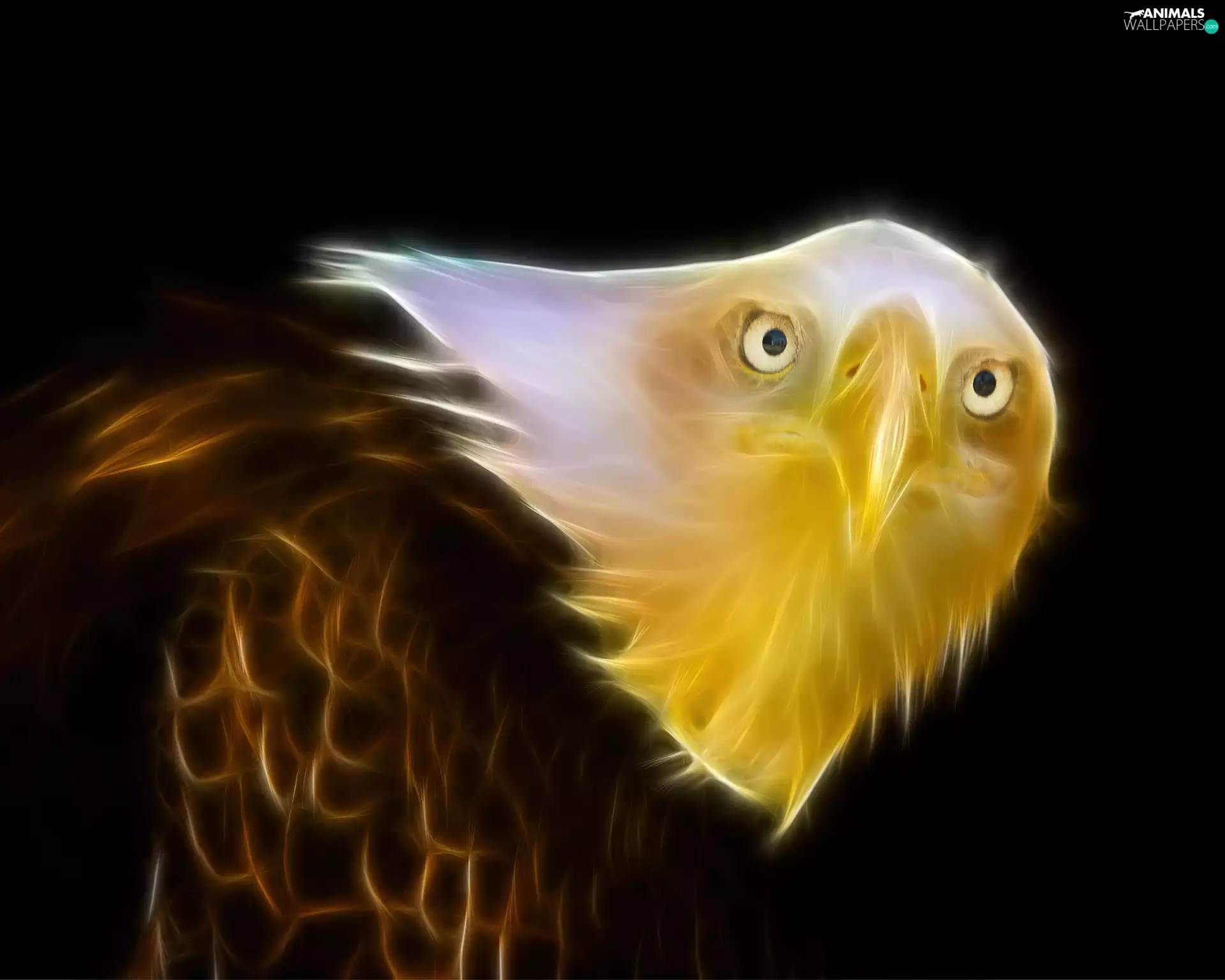 Fractalius, American Bald Eagle