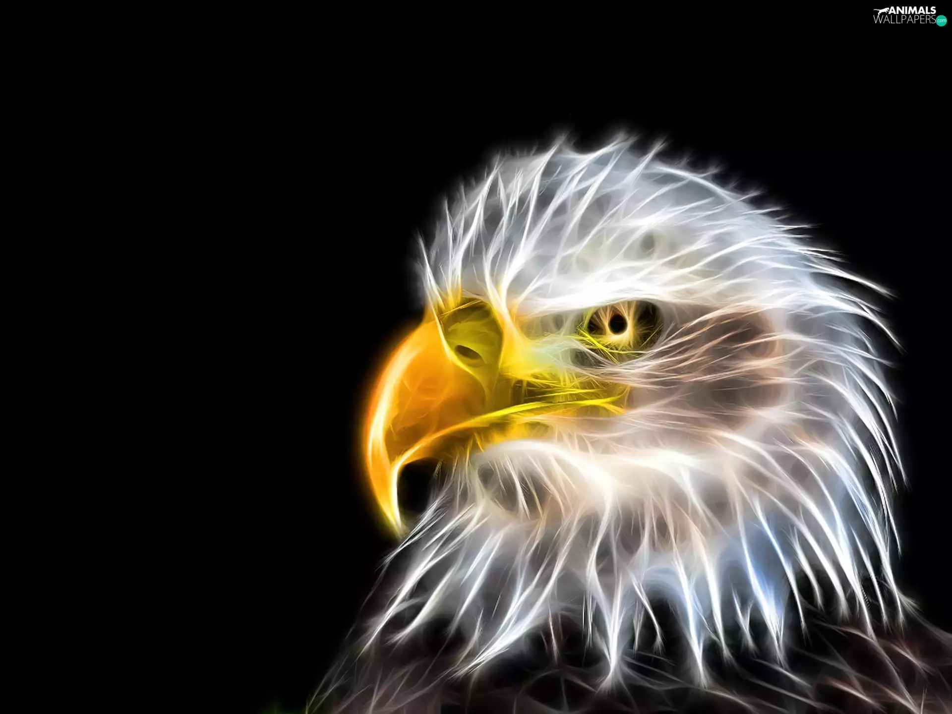 Fractalius, American Bald Eagle