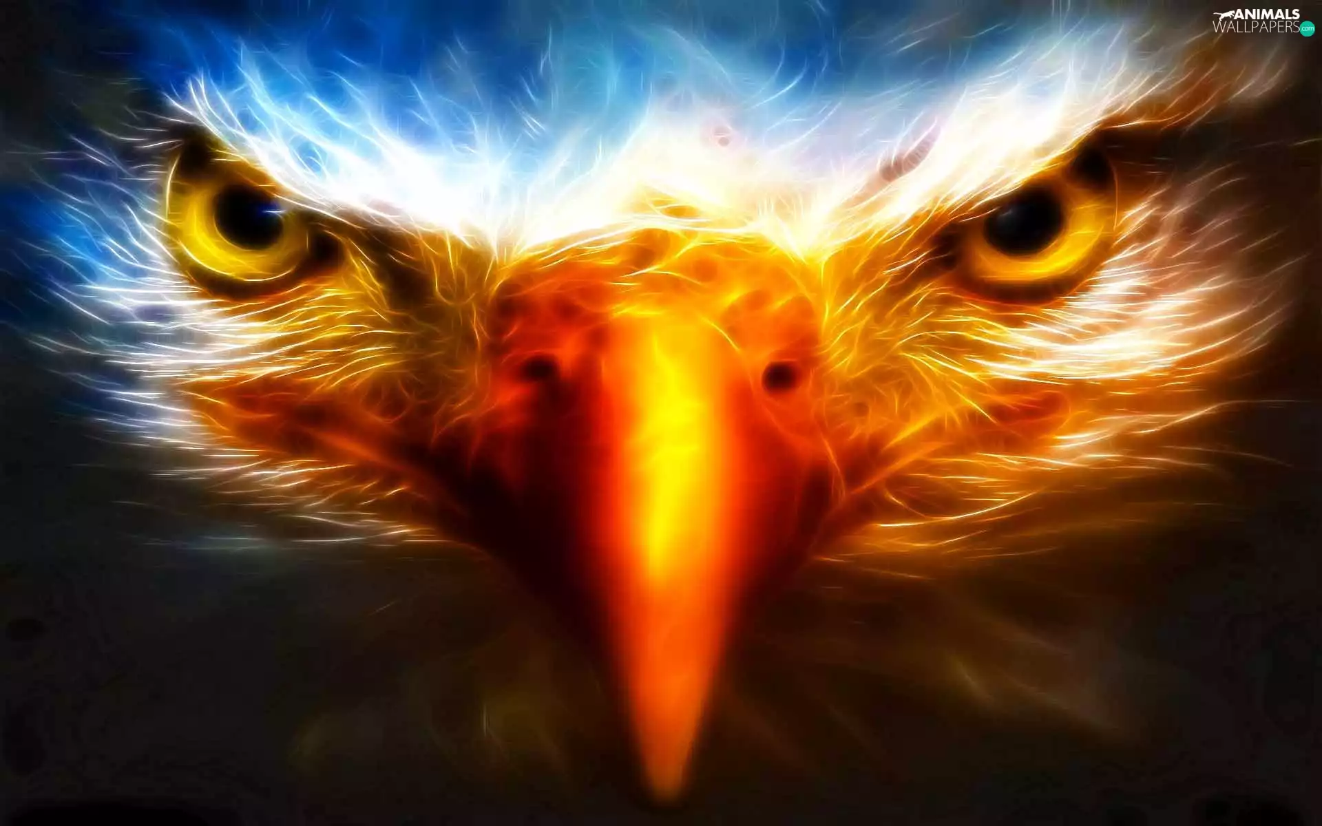 eagle, Fractalius