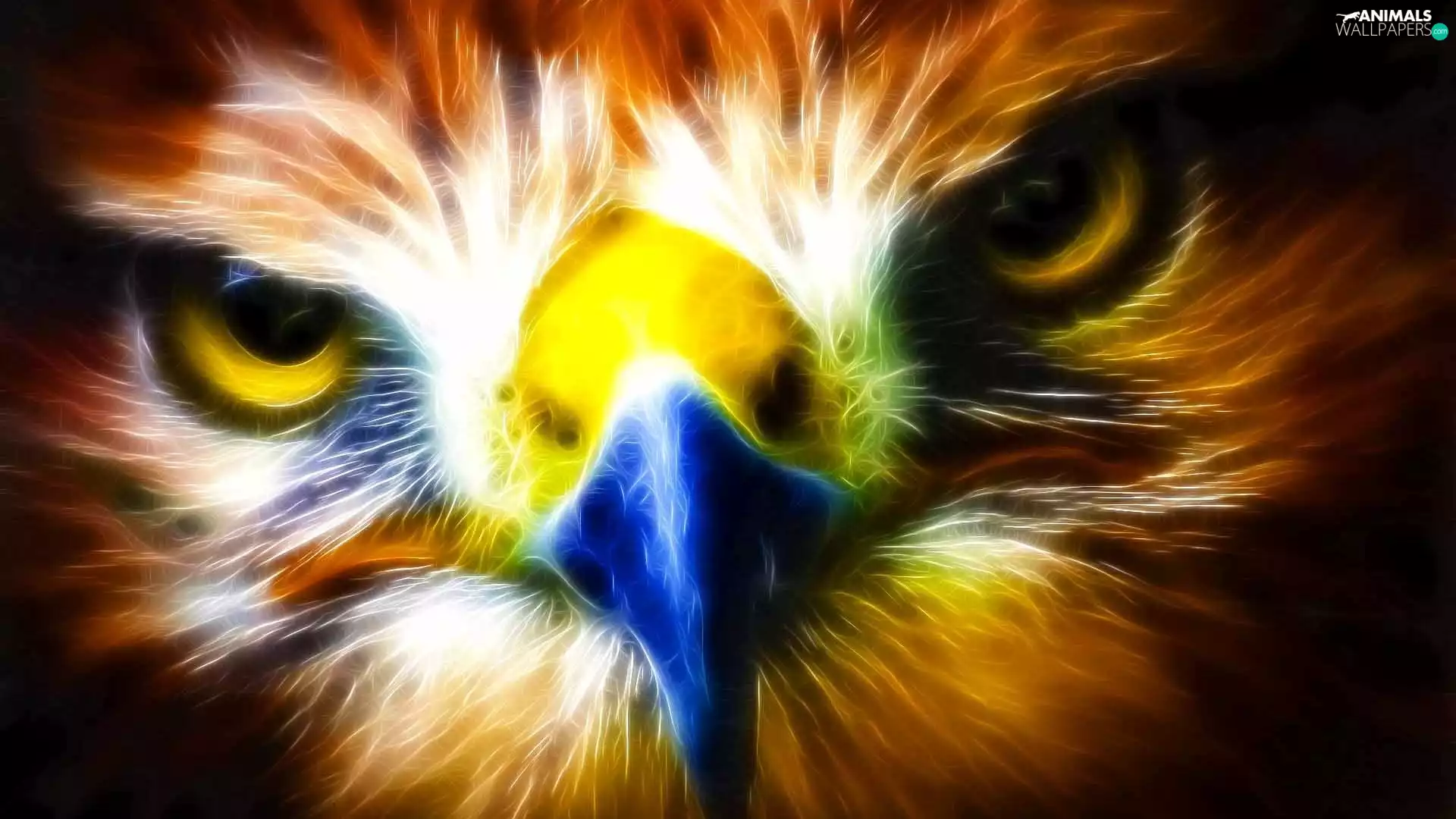 eagle, Vectorial