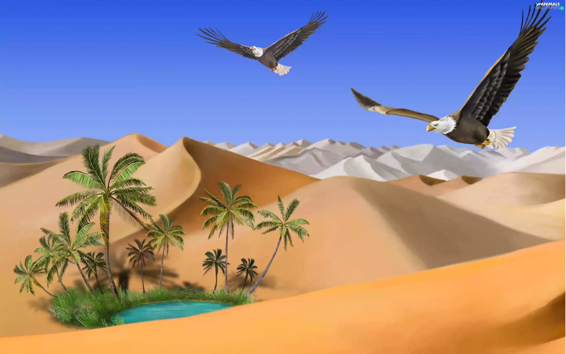 Bald Eagles, Desert, fantasy, Palms