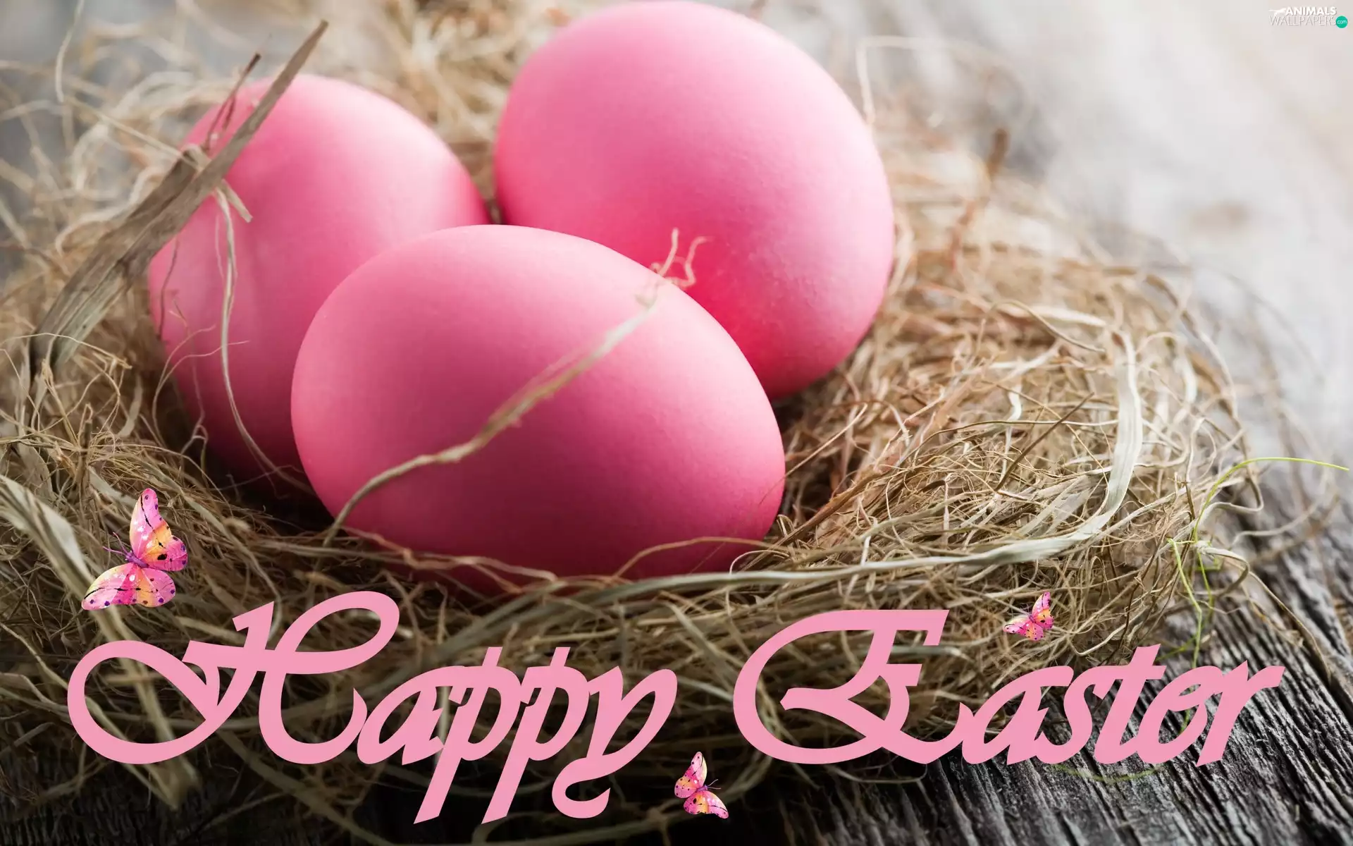 butterfly, eggs, composition, Easter, Bench, hay