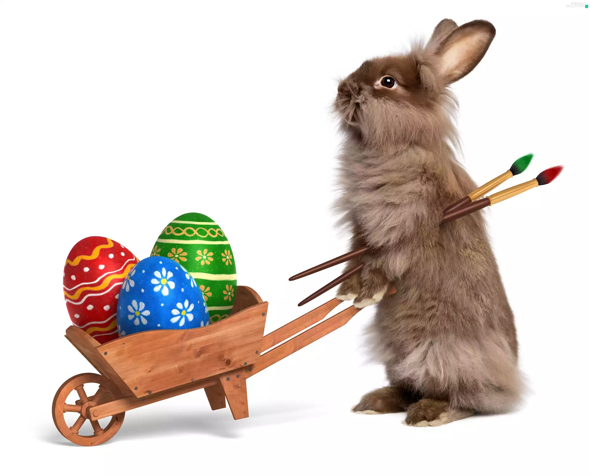 eggs, Easter, Wheelbarrow, paint, Rabbit