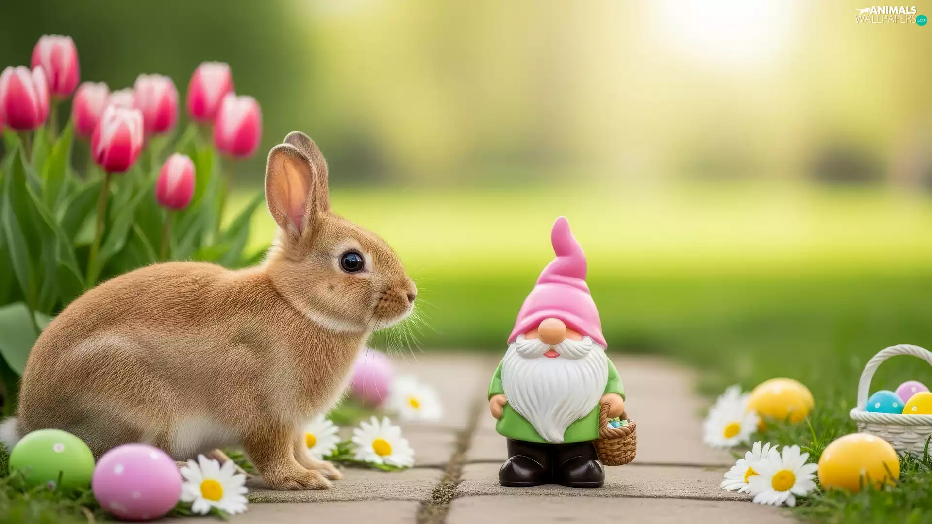 Tulips, eggs, Rabbit, dwarf, Easter