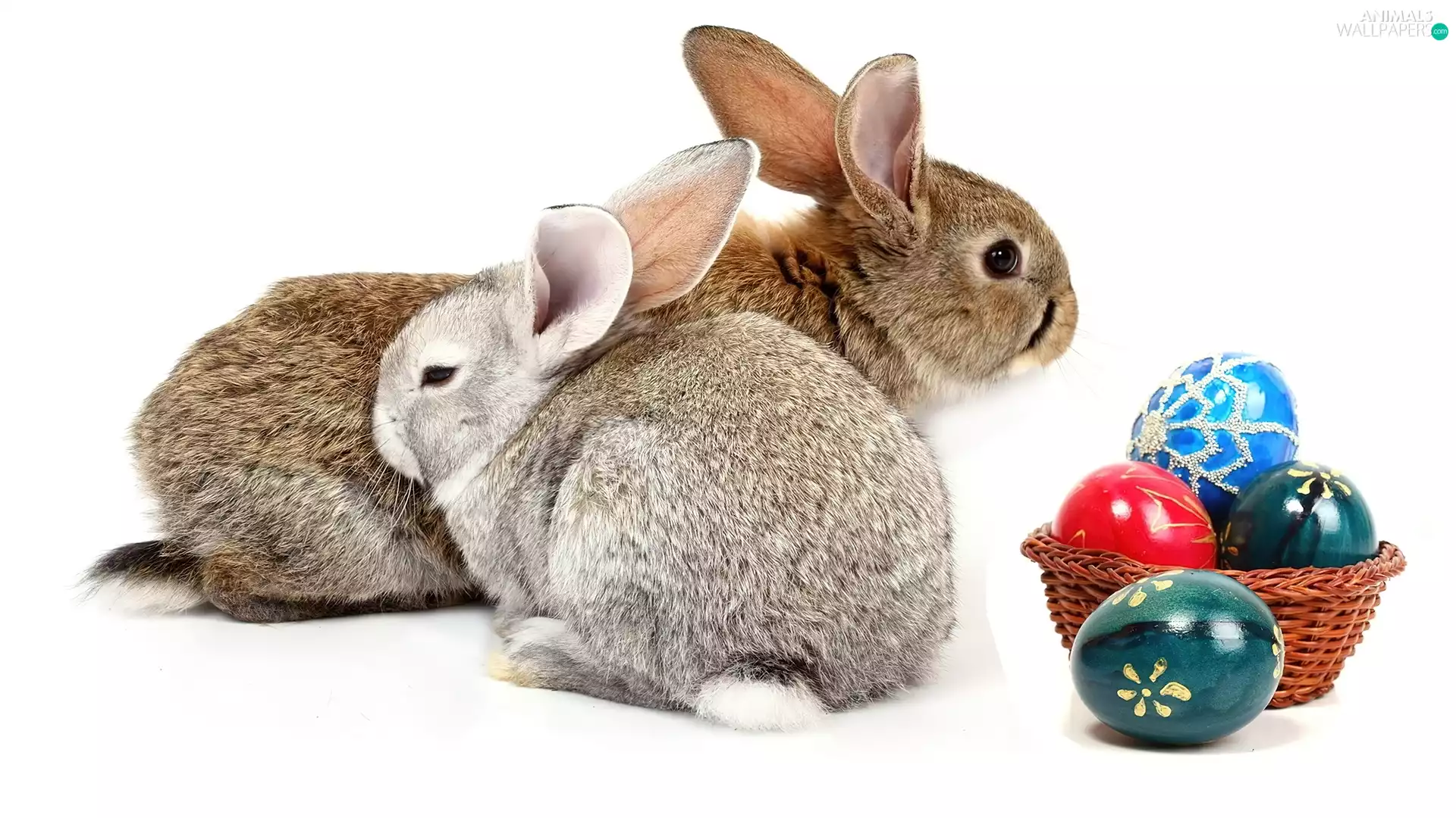 Rabbits, basket, Easter eggs