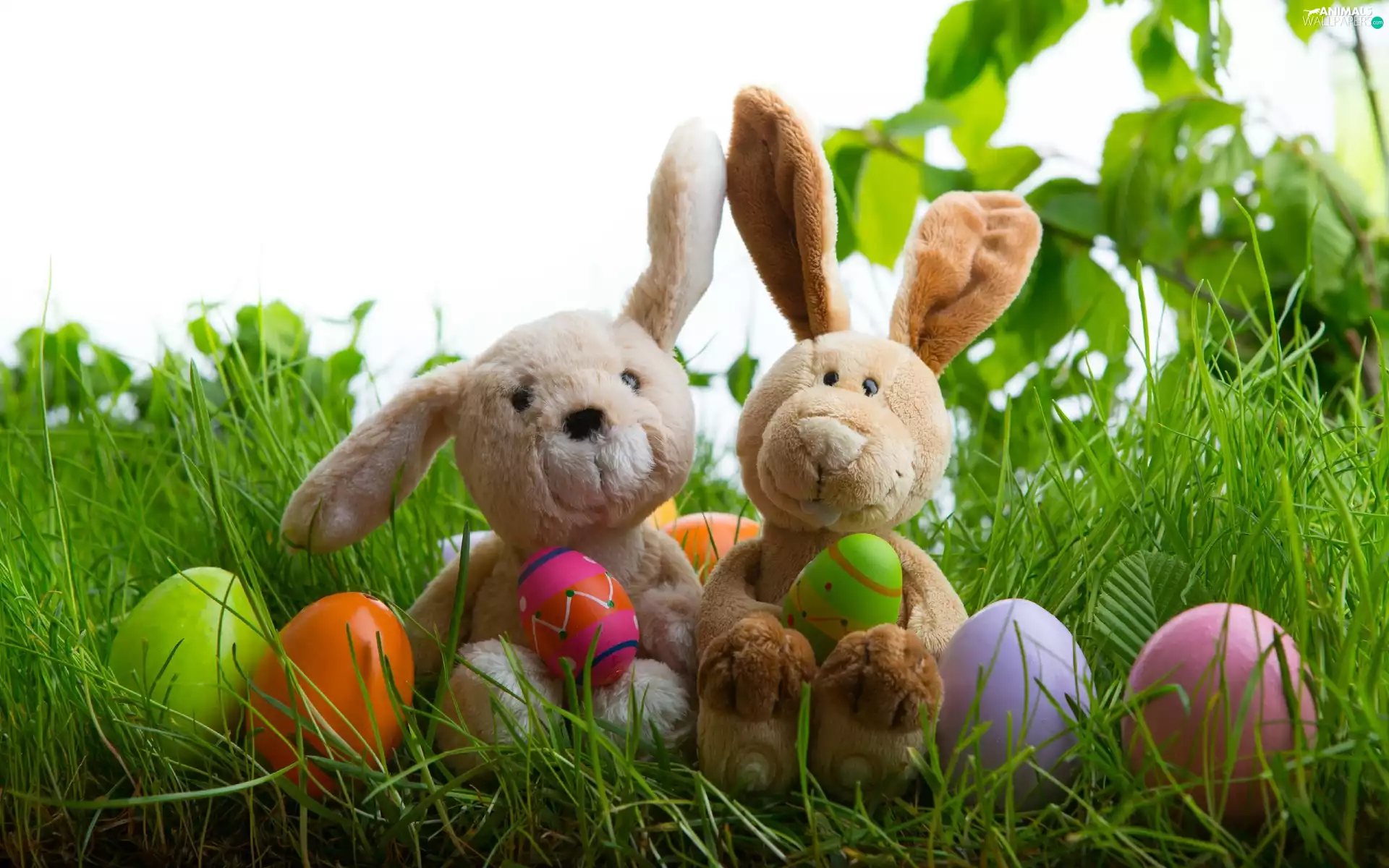 rabbits, Meadow, Easter, eggs