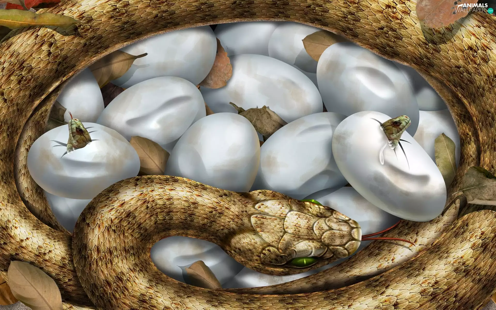 viper, young, Art, eggs