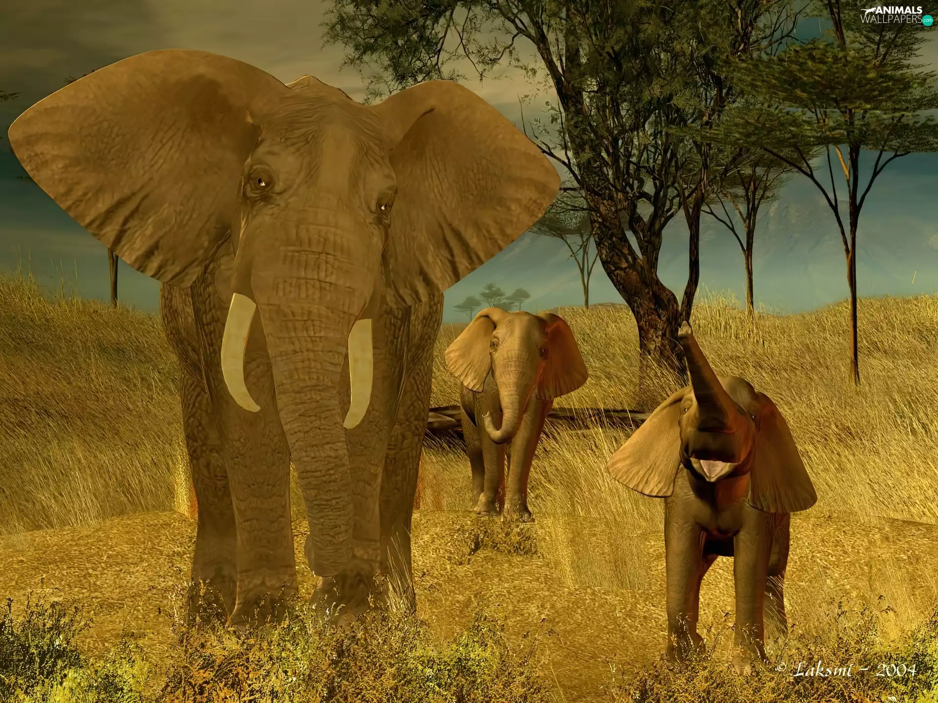 Three, Family, 3D, Elephants