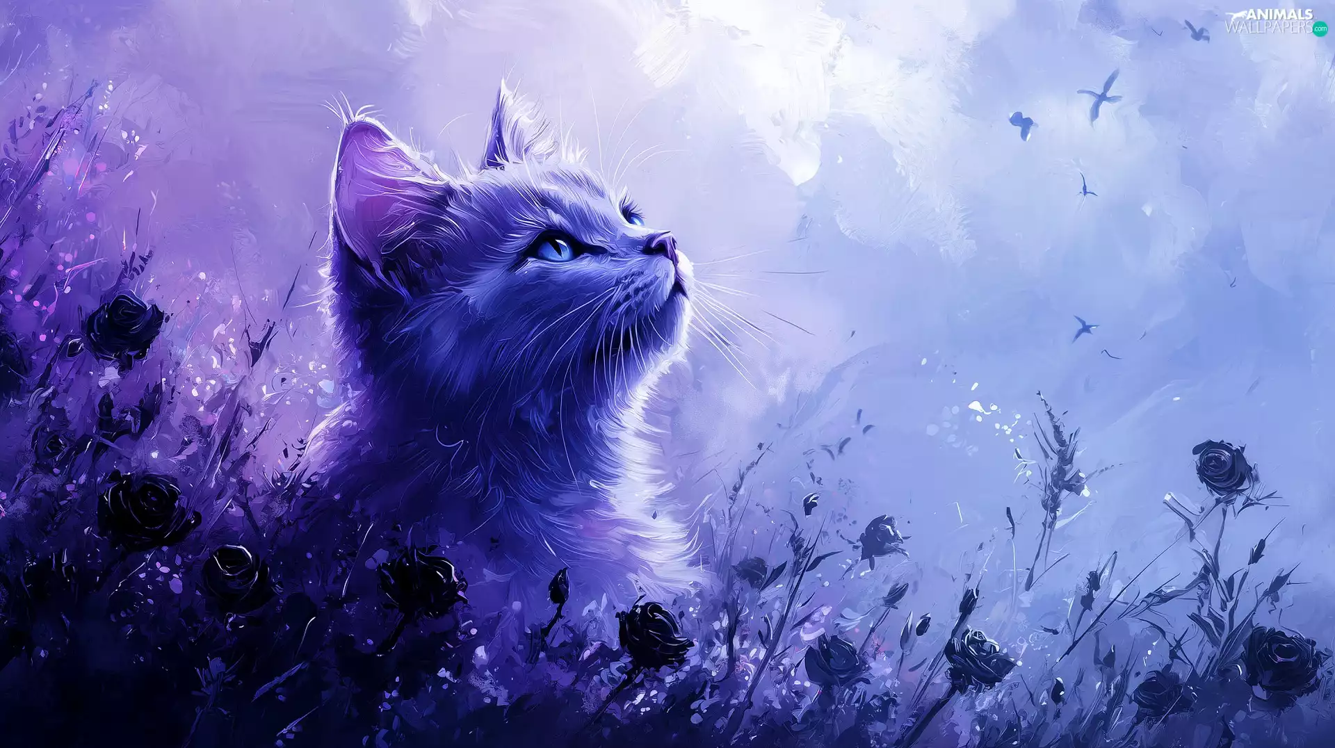 Blue Eyed, Flowers, Ai, cat