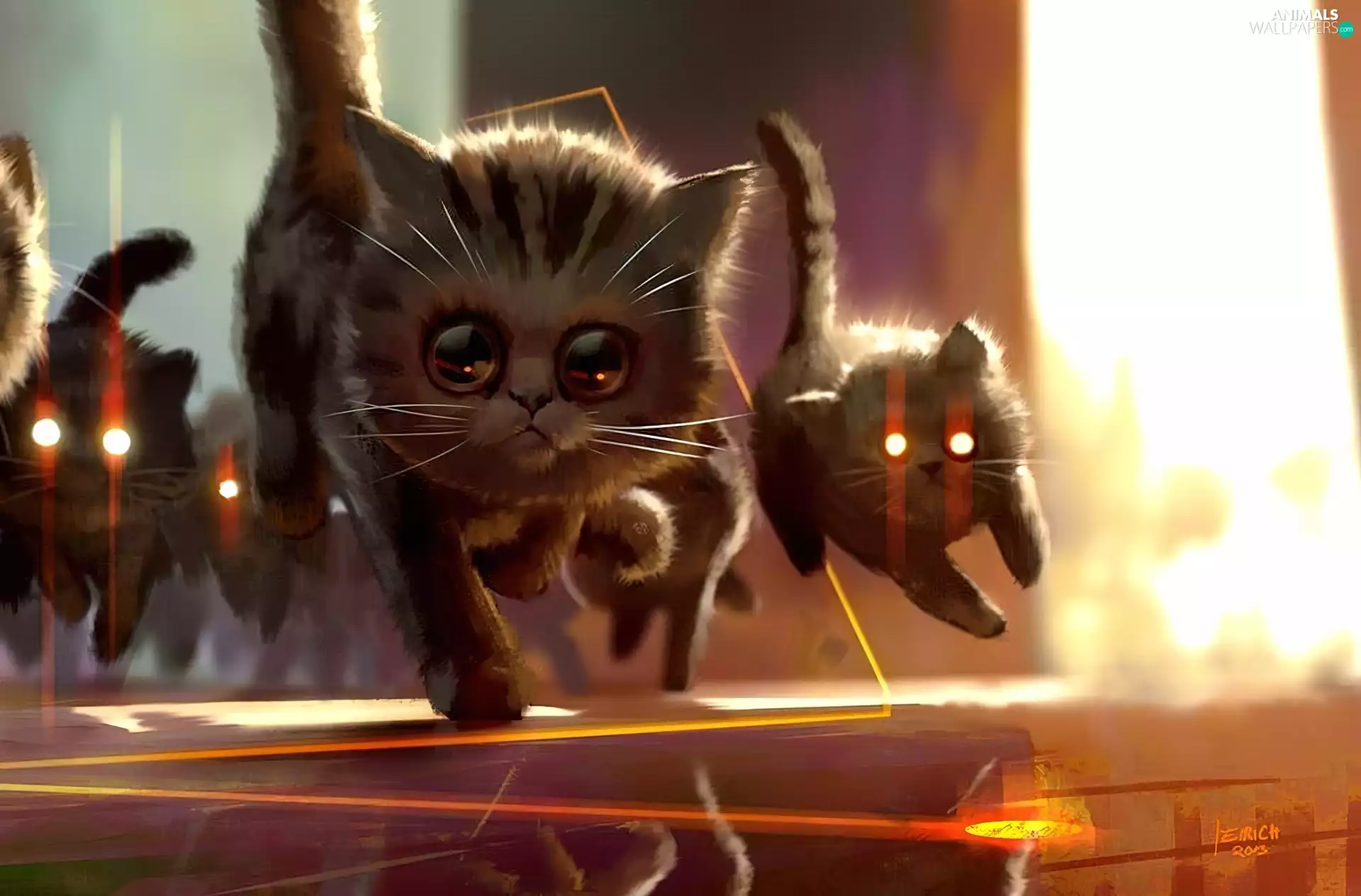 cats, floor, gear, Eyes