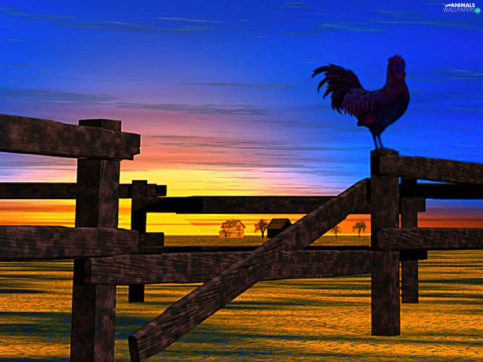 rooster, west, sun, Fance