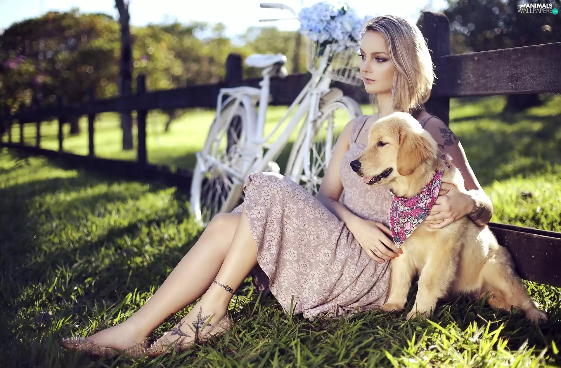 Bike, Fance, tattoos, dog, girl
