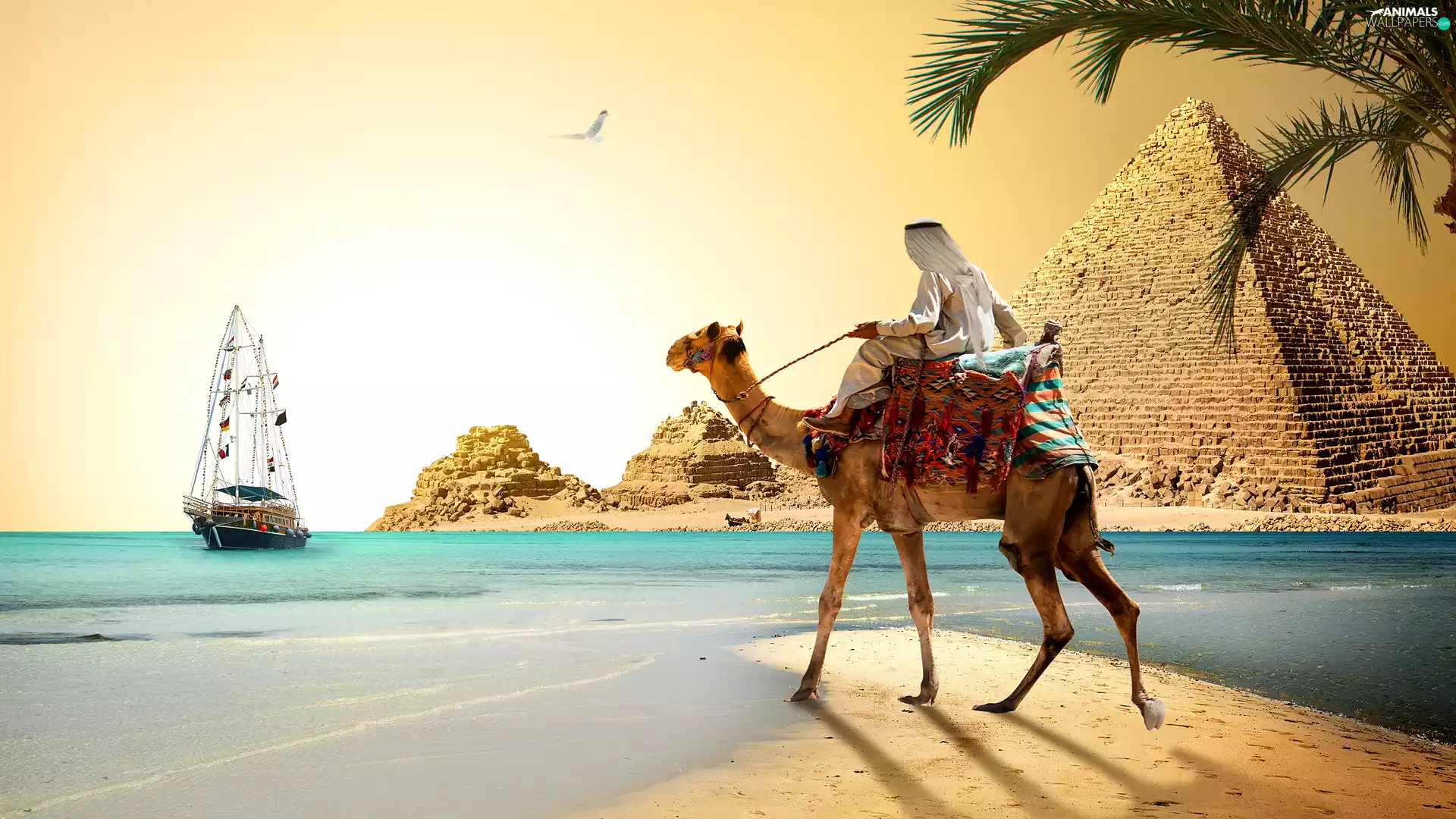 sea, Pyramids, Arab, fantasy, Camel, sailing vessel