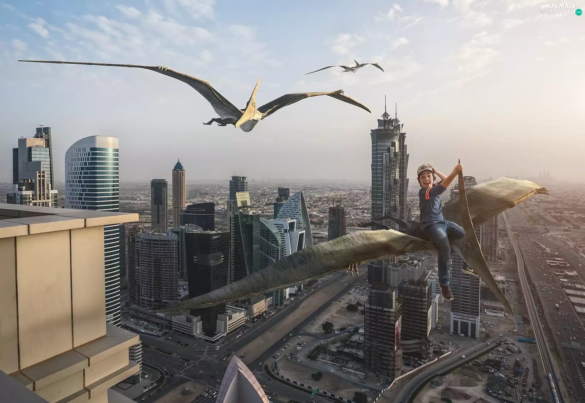 birds, flight, Town, fantasy, Pterodactyls, boy