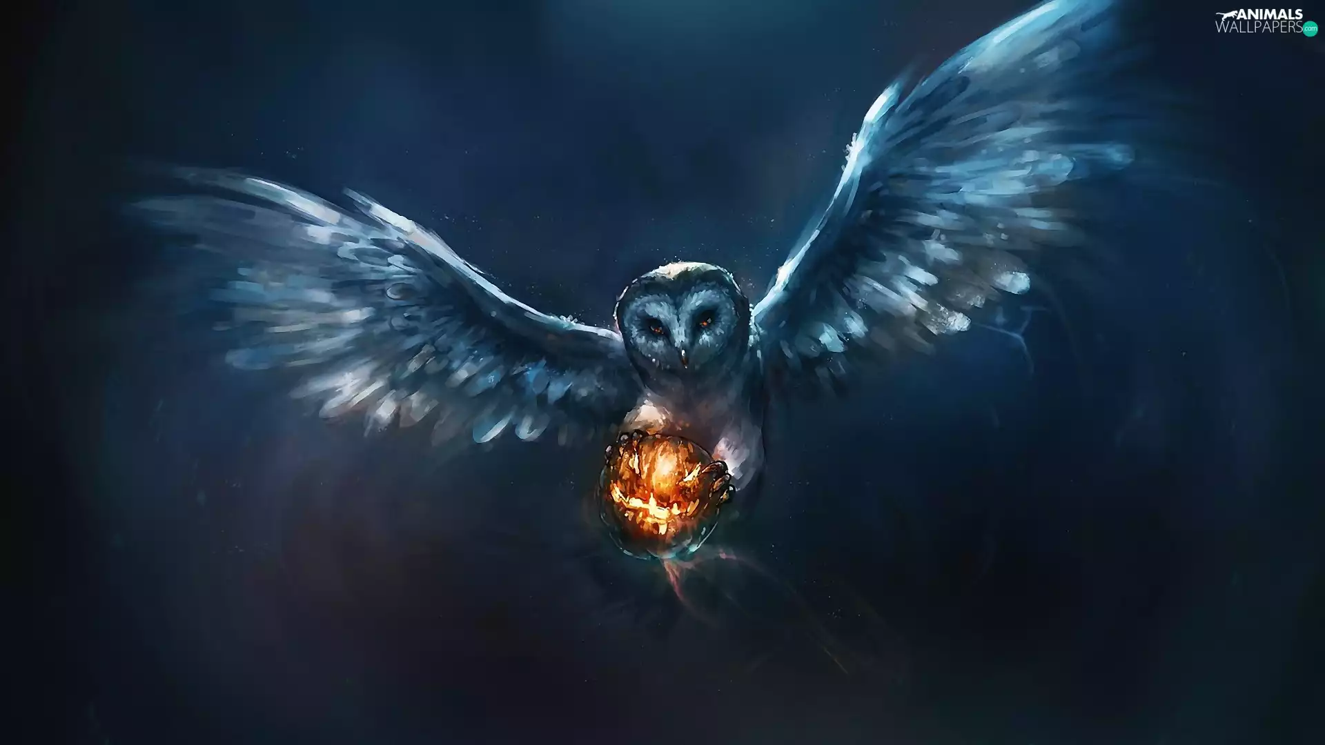 graphics, owl, Orb, fantasy