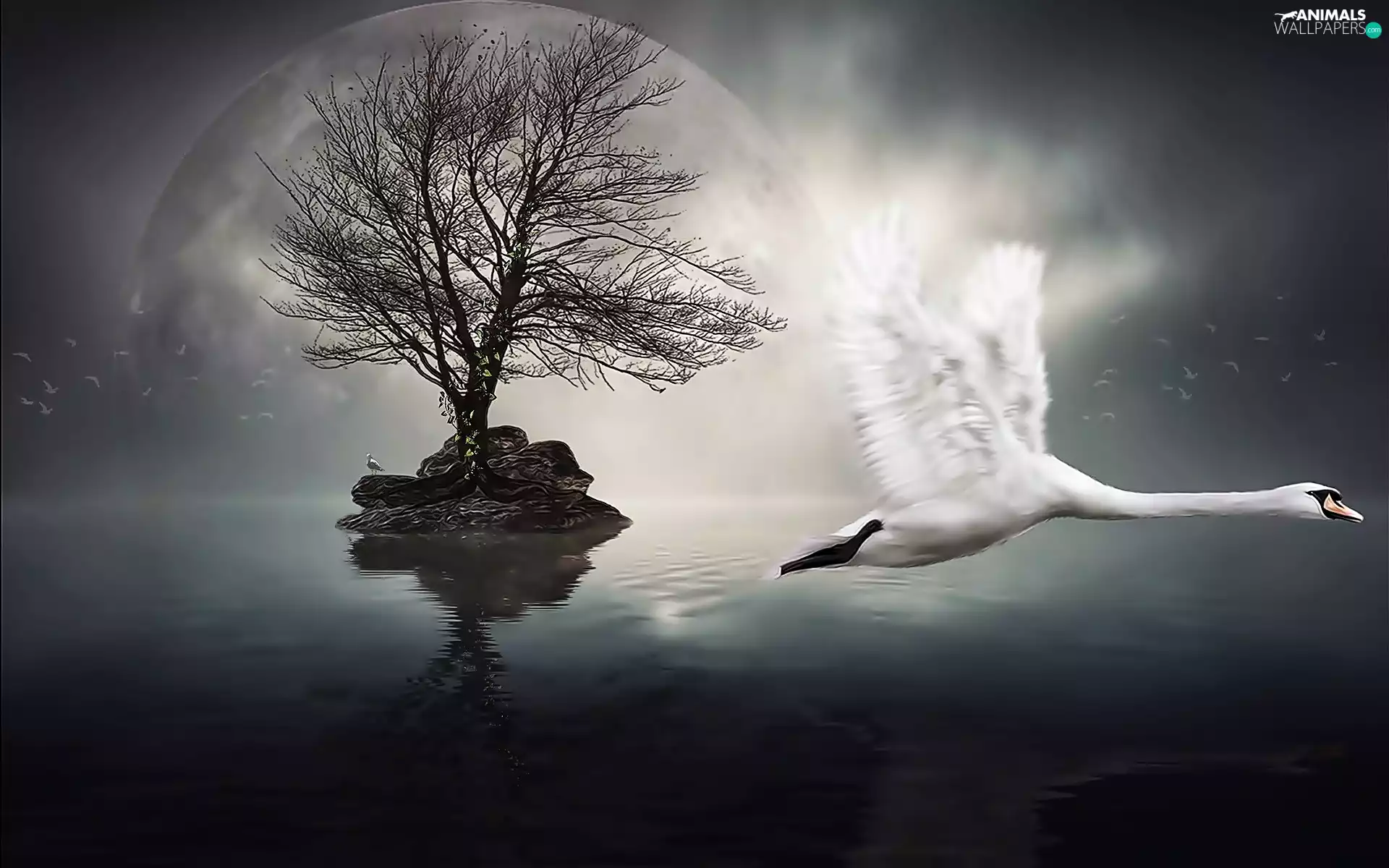 Island, Swans, water, fantasy, trees, gulls