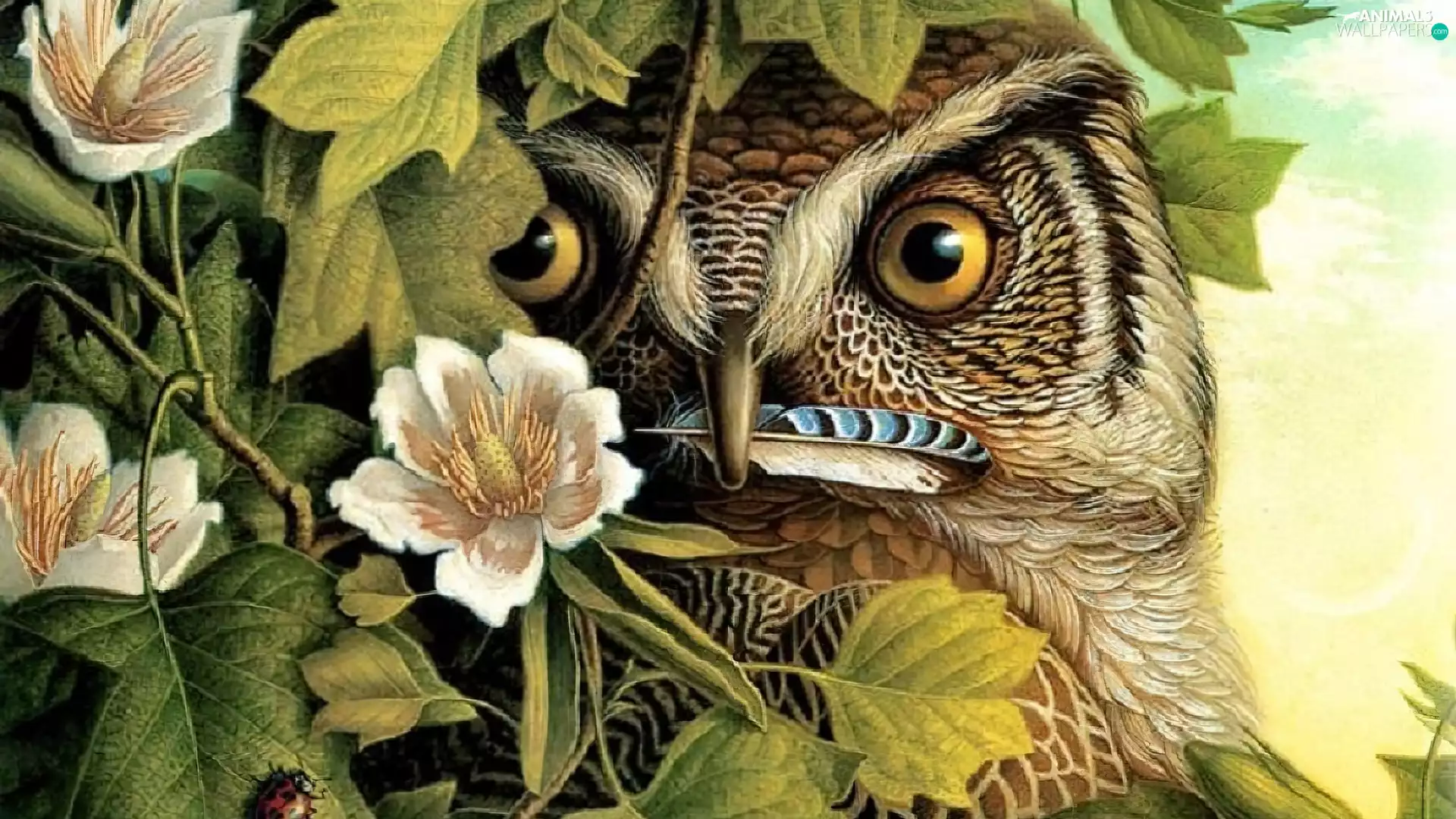 feather, owl, Flowers