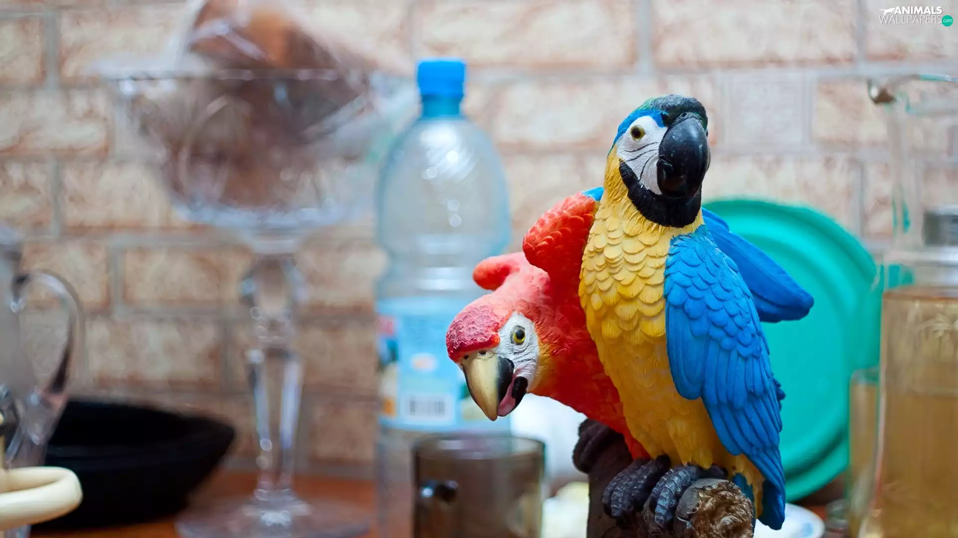 figures, Two, Parrots