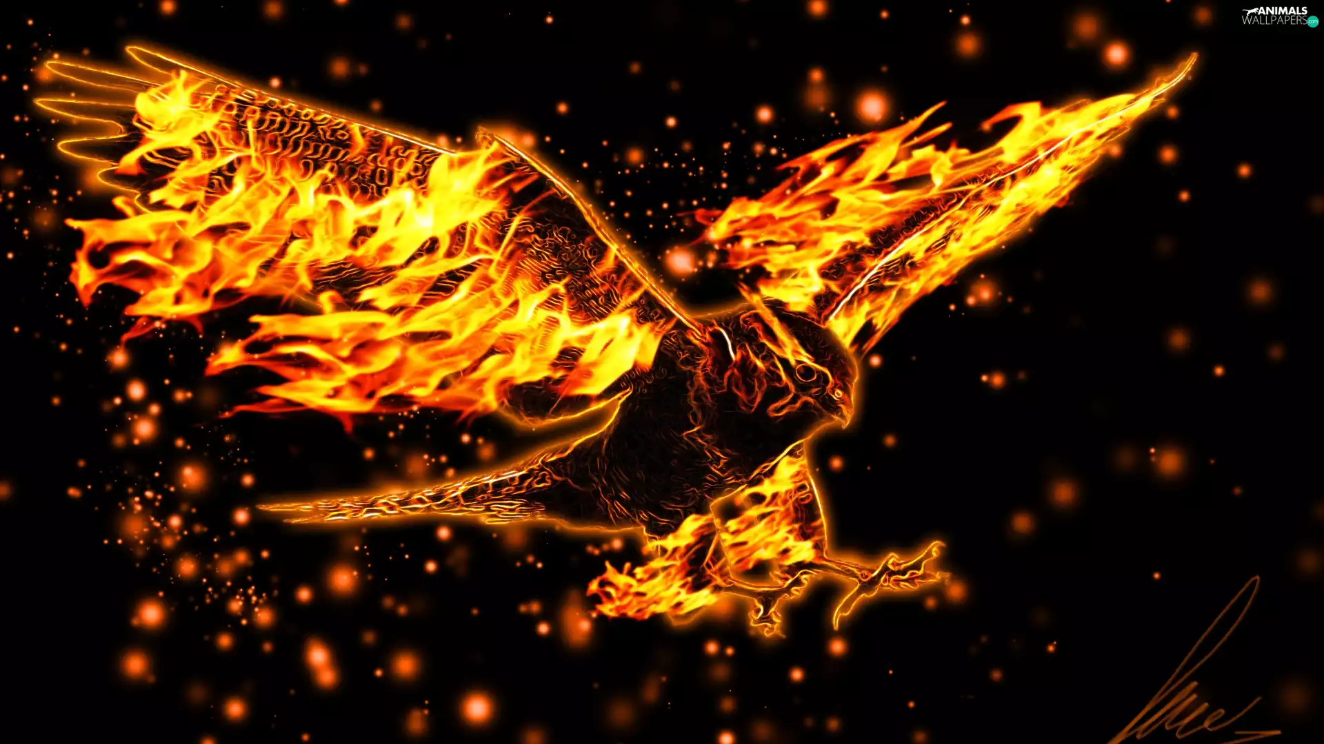 graphics, eagle, Big Fire