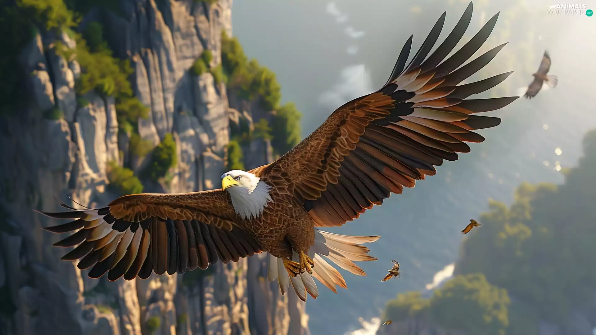 American Bald Eagle, Bird, wings, rocks, spread, flight