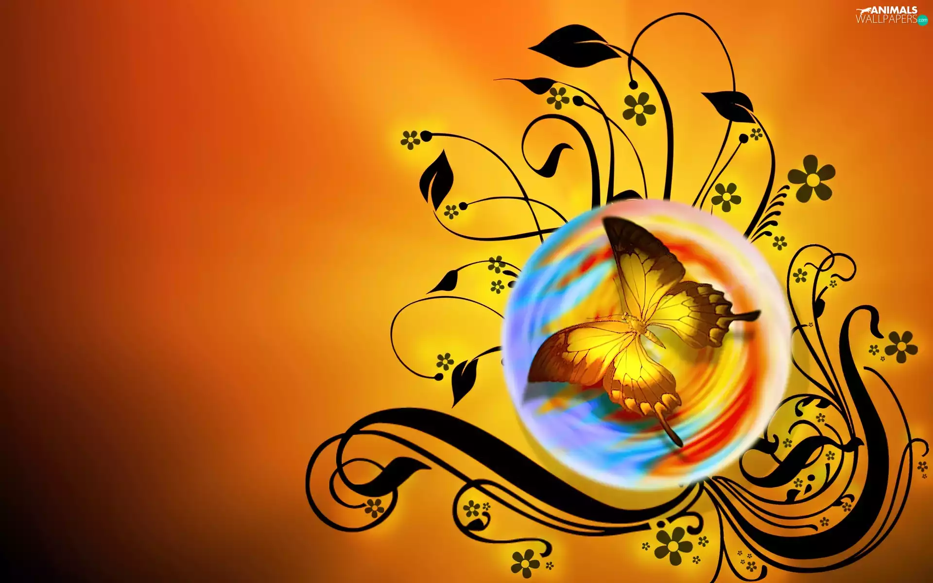 Black, Flowers, ##, sphere, butterfly