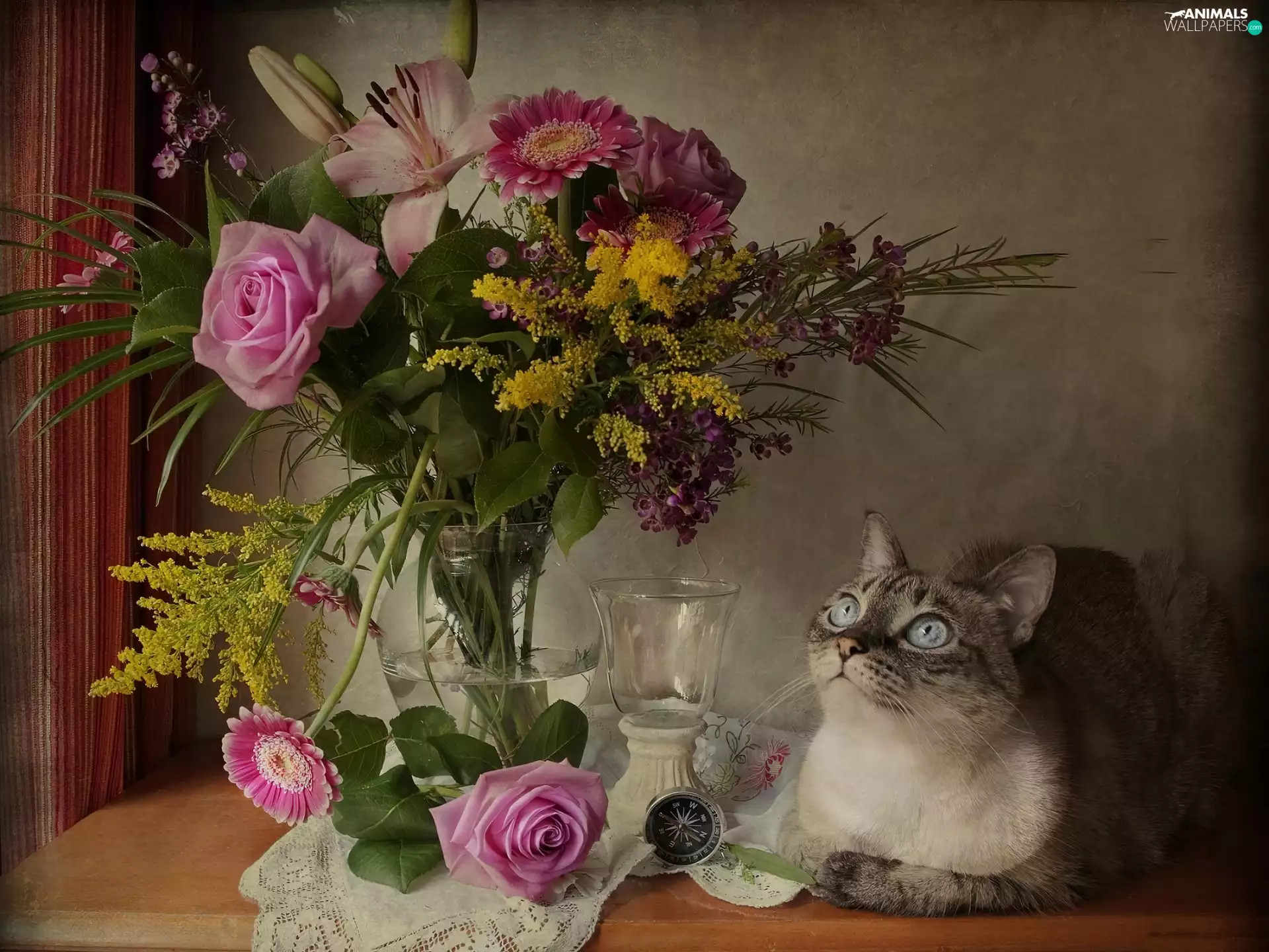 flowers, cat, bouquet