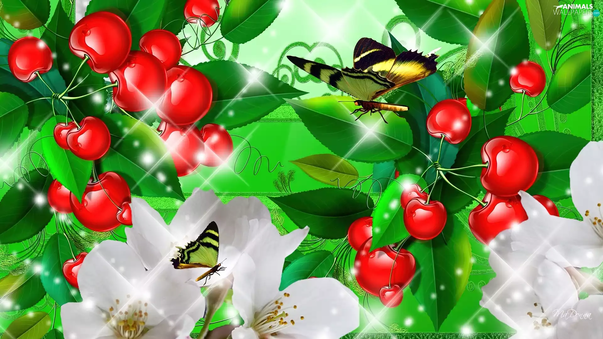 butterflies, cherries, graphics, Flowers