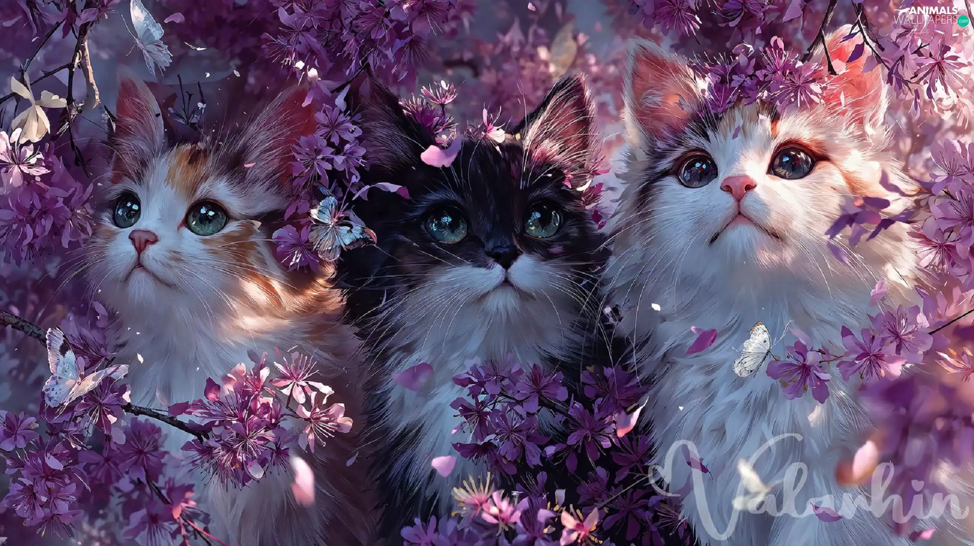 purple, Flowers, cats, Twigs, Three